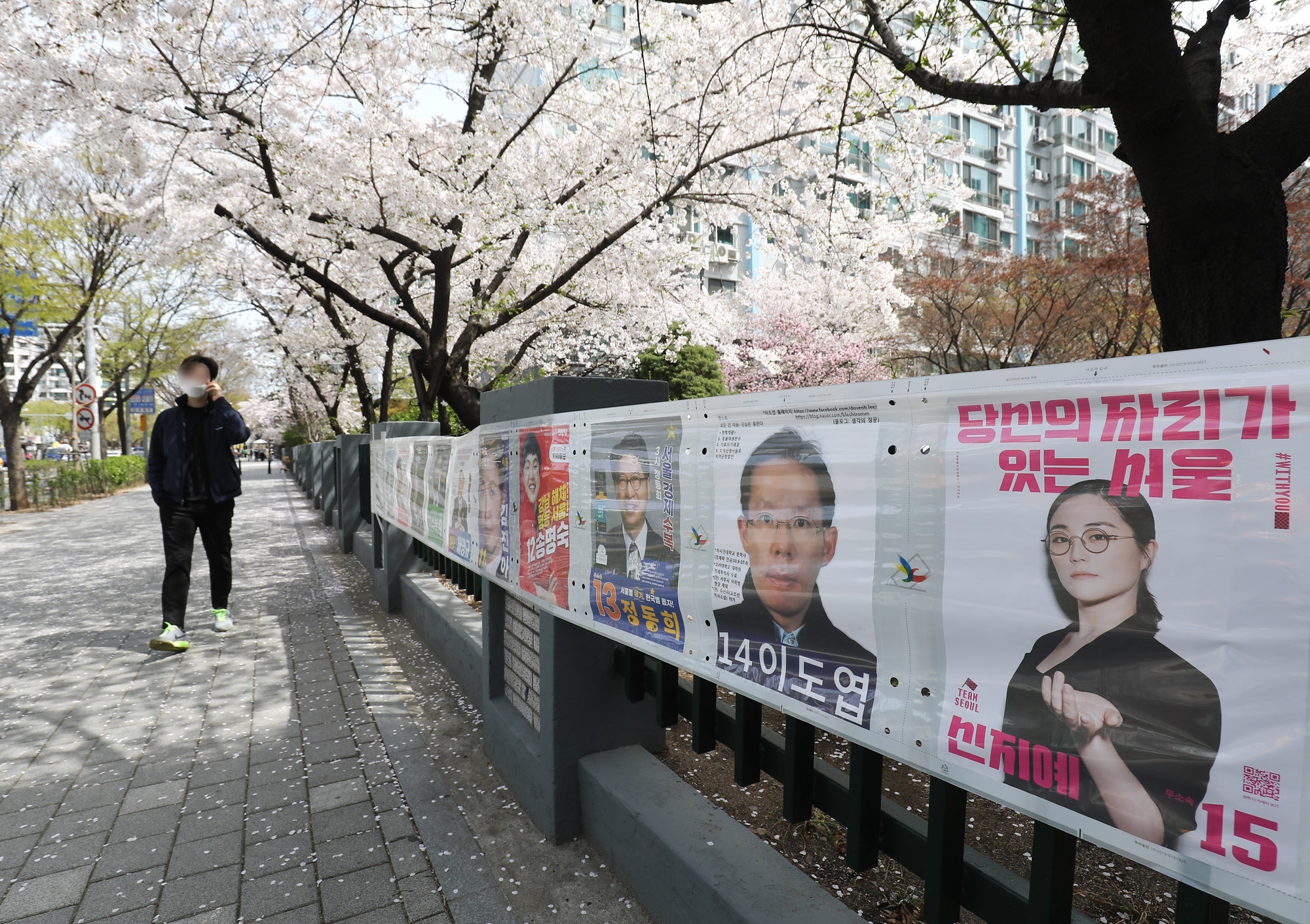 벚꽃선거;선거벽보;4.7재보궐선거;사전투표