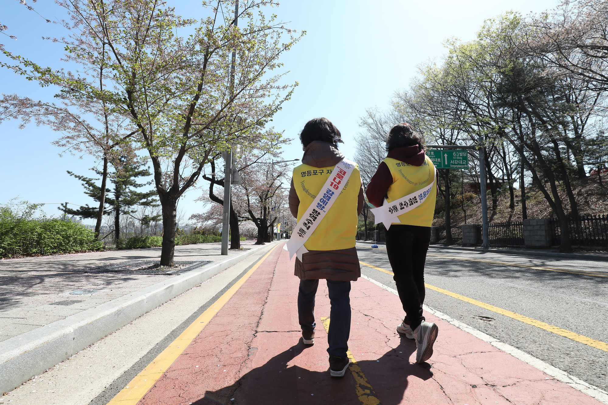 윤중로 벚꽃 통제 교통 봄 나들이 코로나