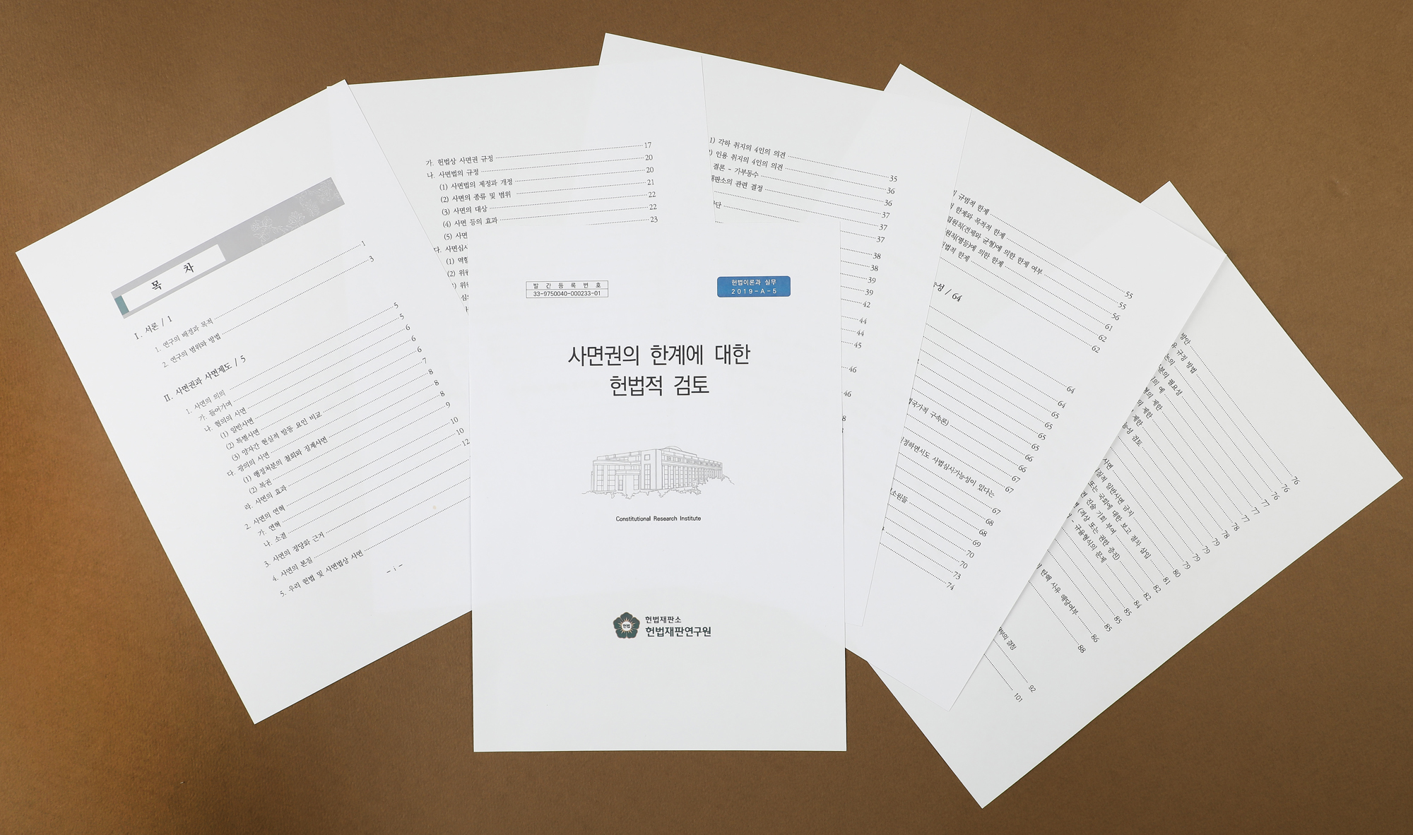 사면권의 한계에 대한 헌법적 검토
