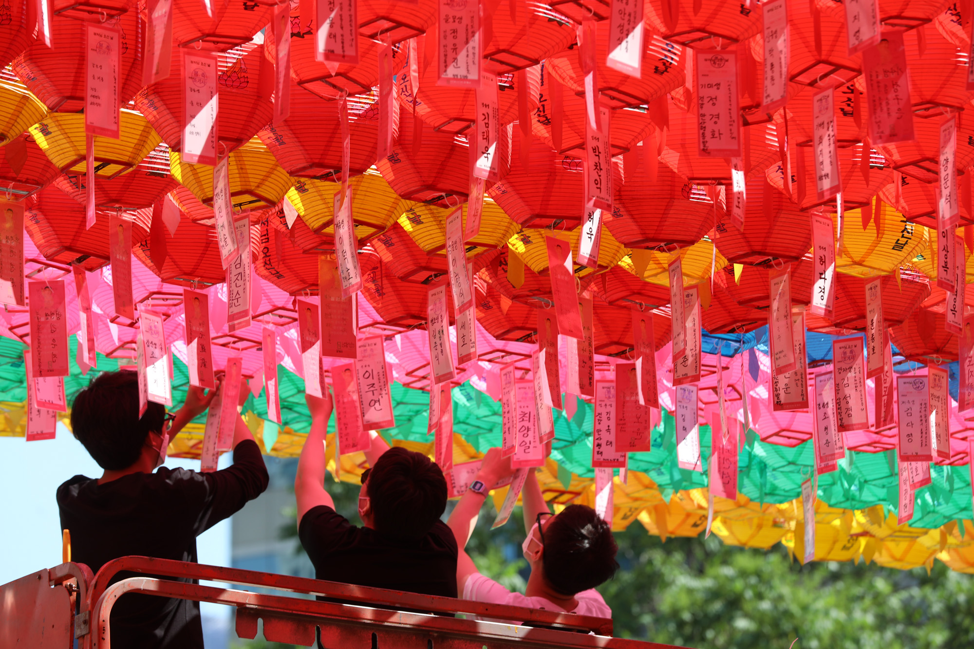 사회;조계사;부처님오신날;등공양