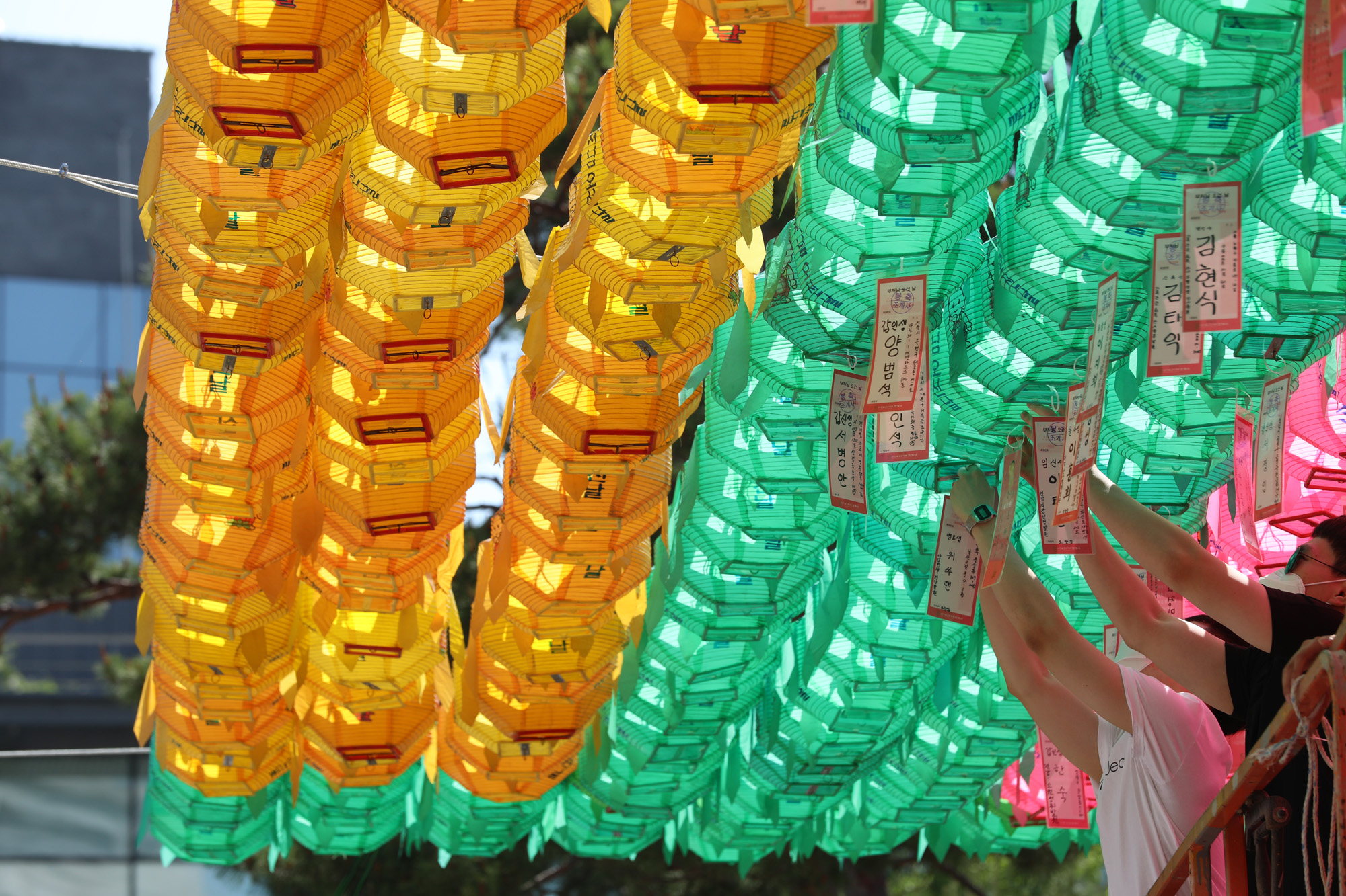 사회;조계사;부처님오신날;등공양