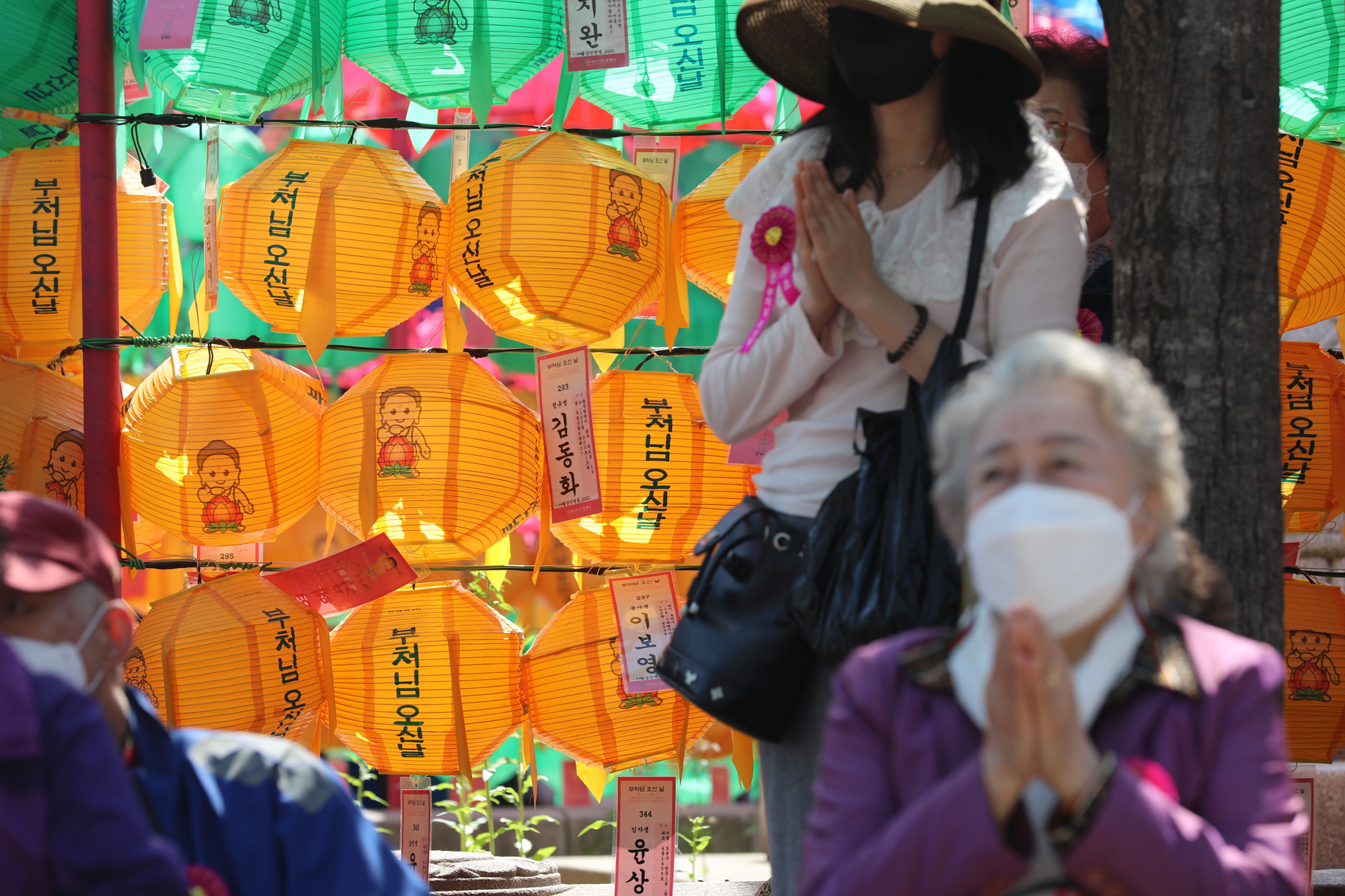 사회;조계사;부처님오신날;등공양