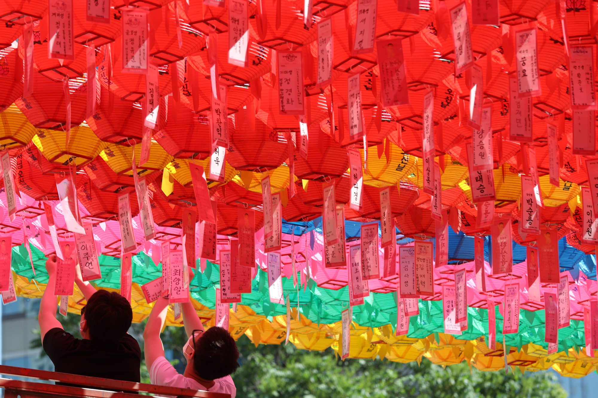 사회;조계사;부처님오신날;등공양