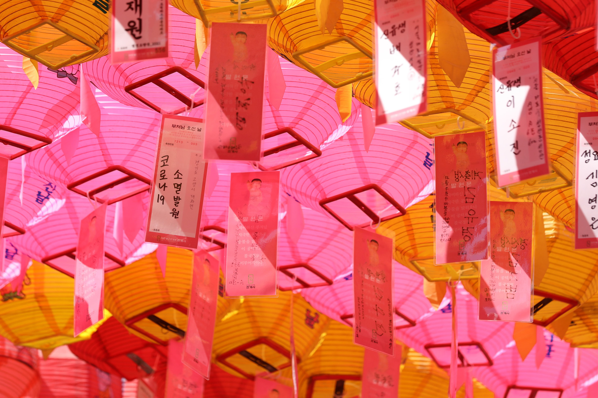 사회;조계사;부처님오신날;등공양