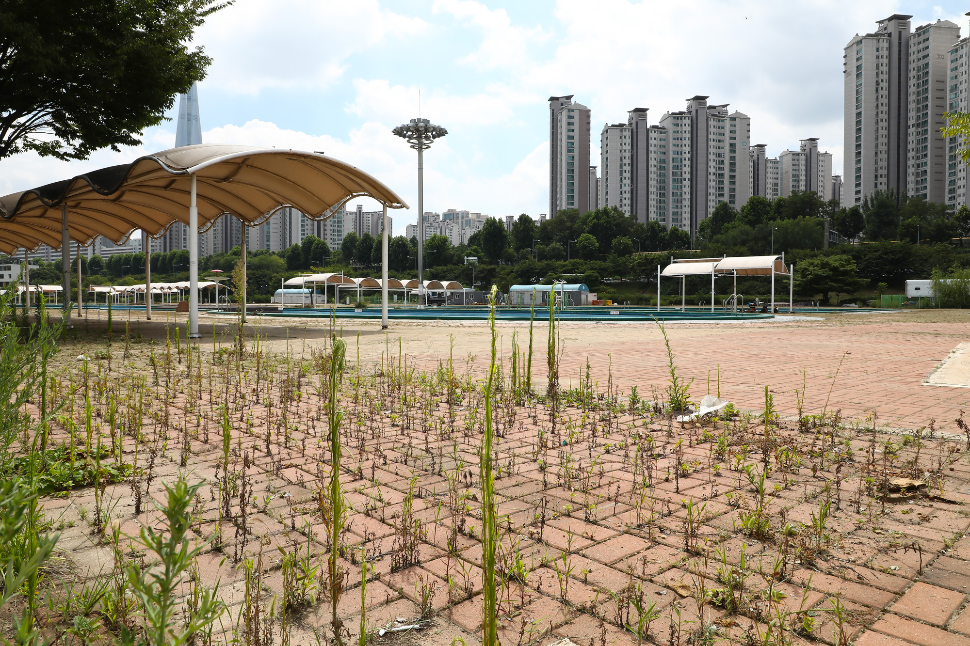 한강공원 잠실 야외수영장 코로나