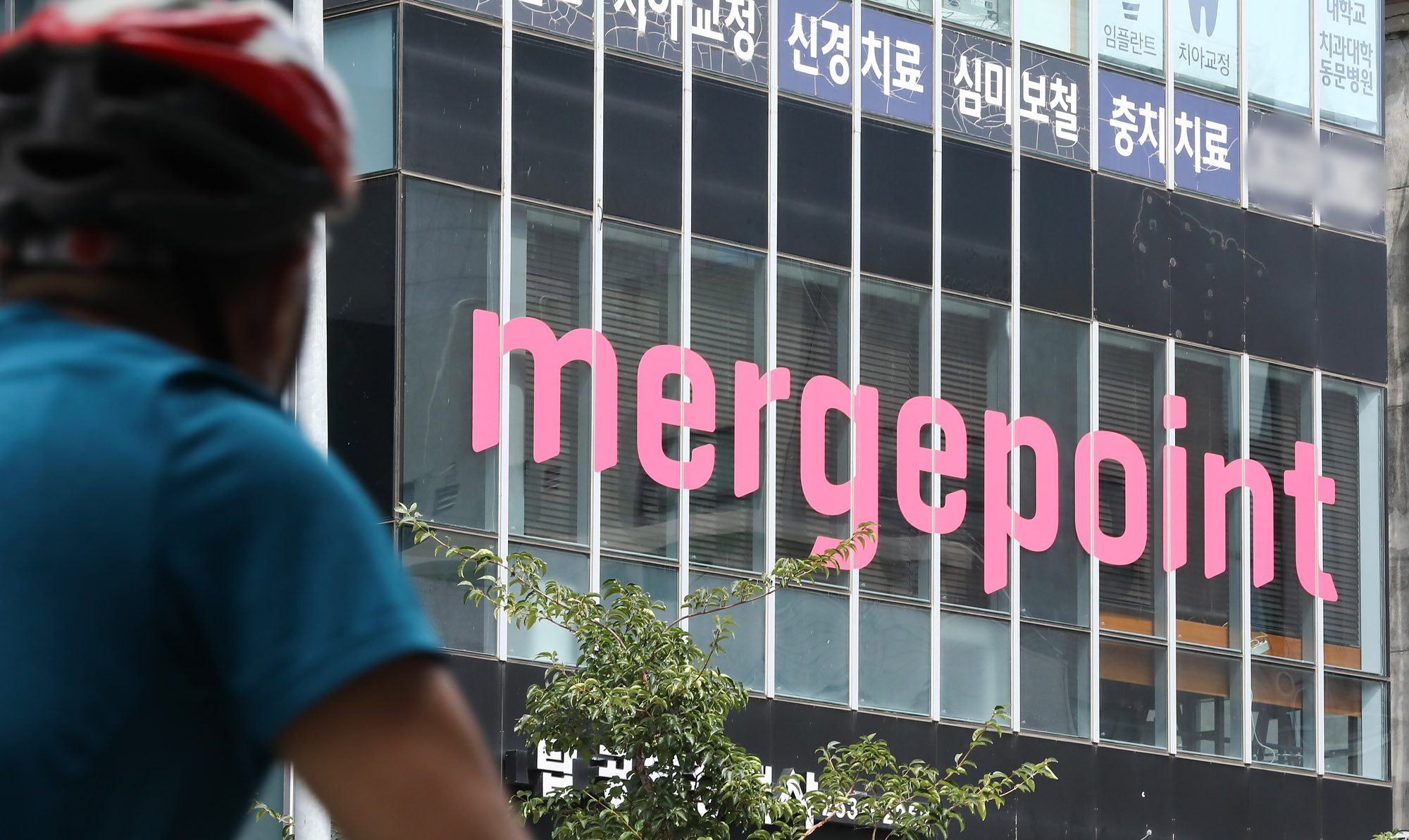 머지포인트;머지포인트본사;폰지사기