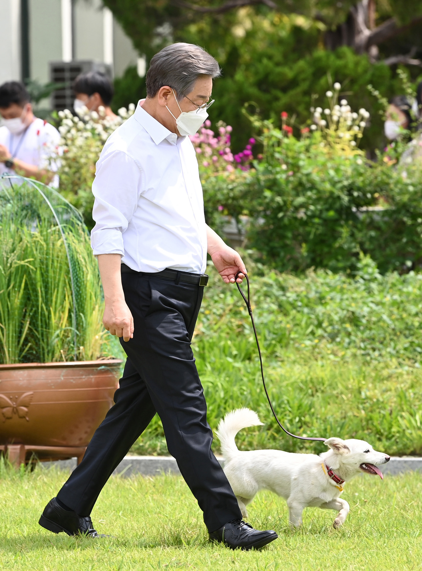정치;정당;더불어민주당;이재명;동물복지공약