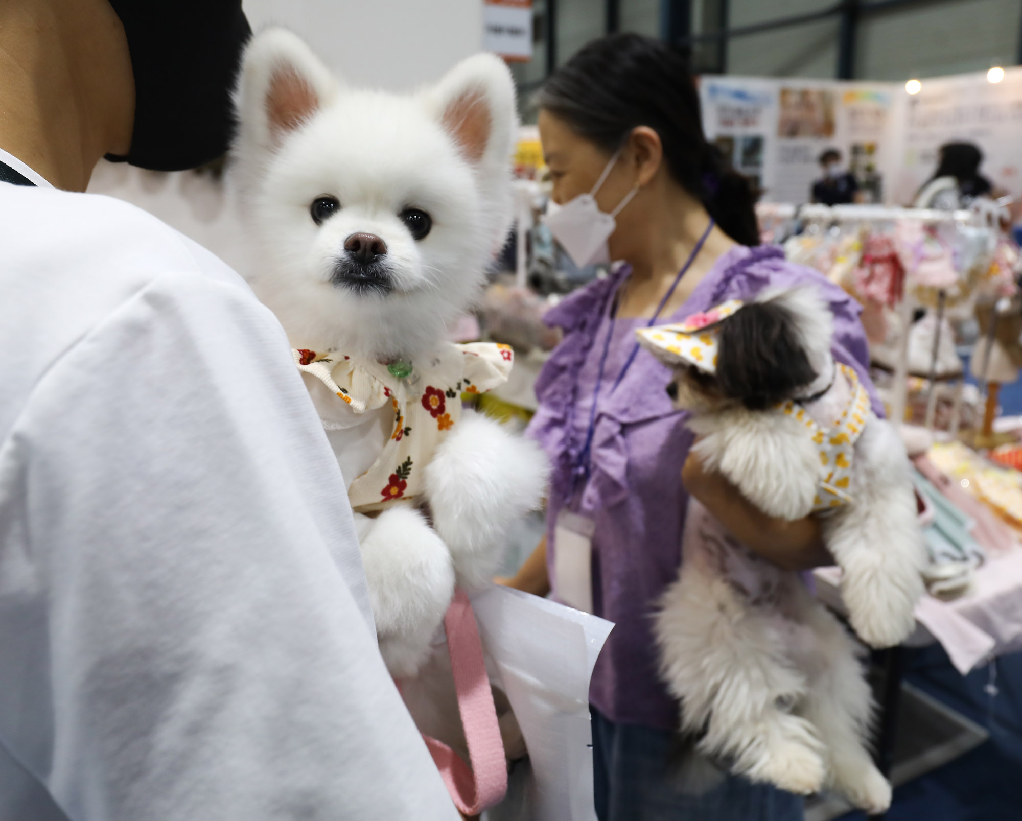 서울펫쇼;팻쇼;강아지;애완동물;애견;개;애견용물;반려동물;반려견