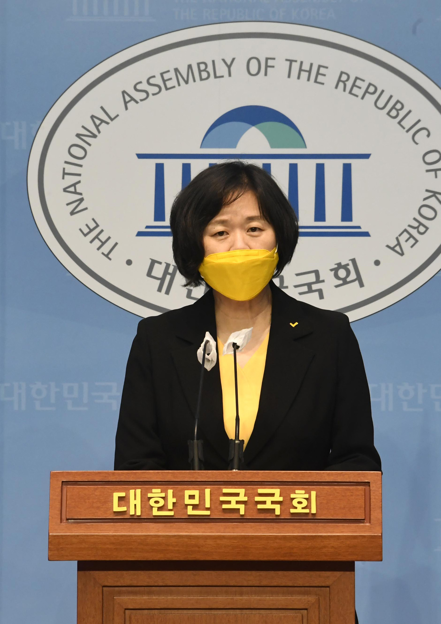 정치;정당;정의당;이정미;대선예비후보