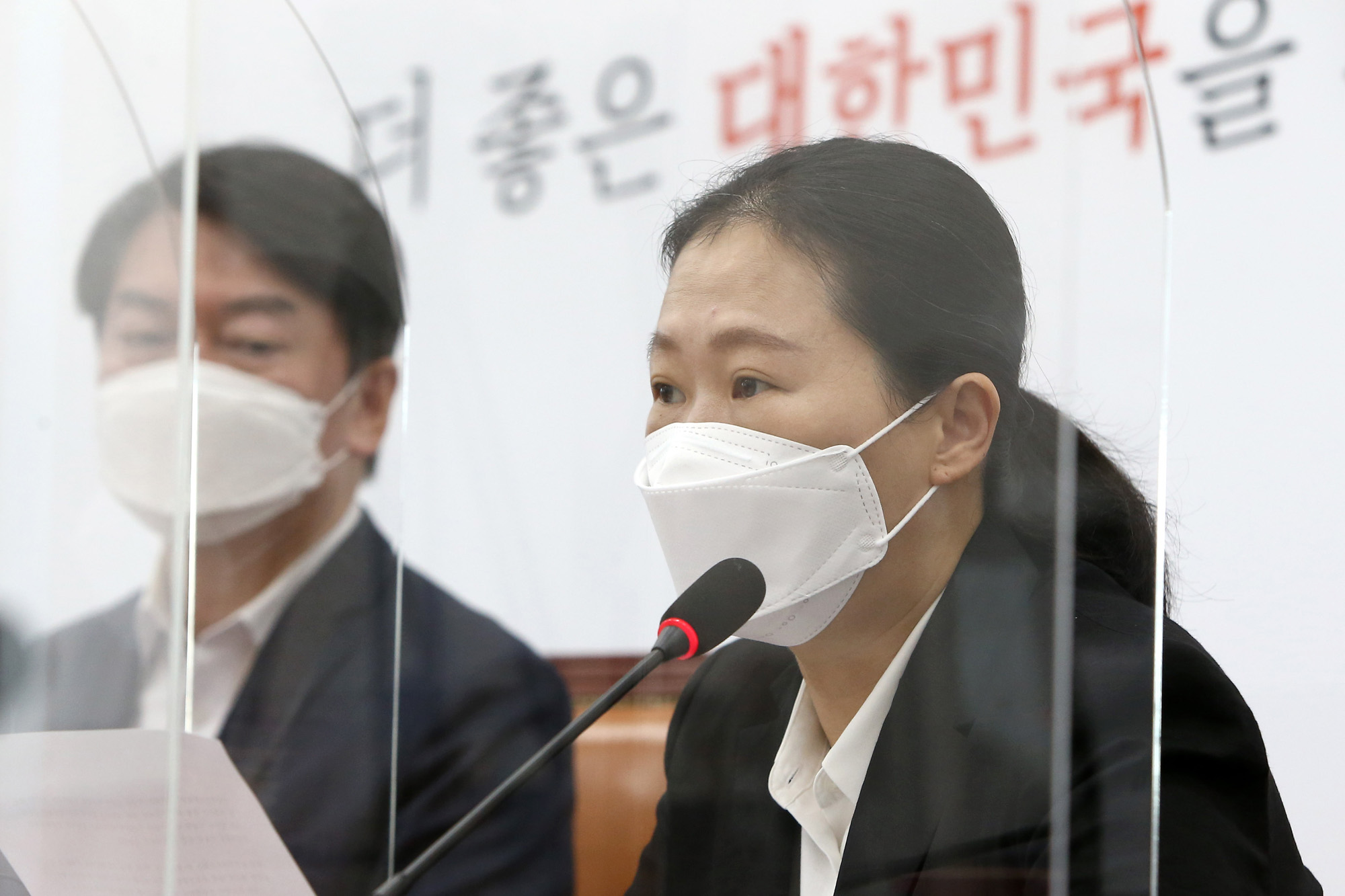 정치;정당;국민의당;최고위원회의