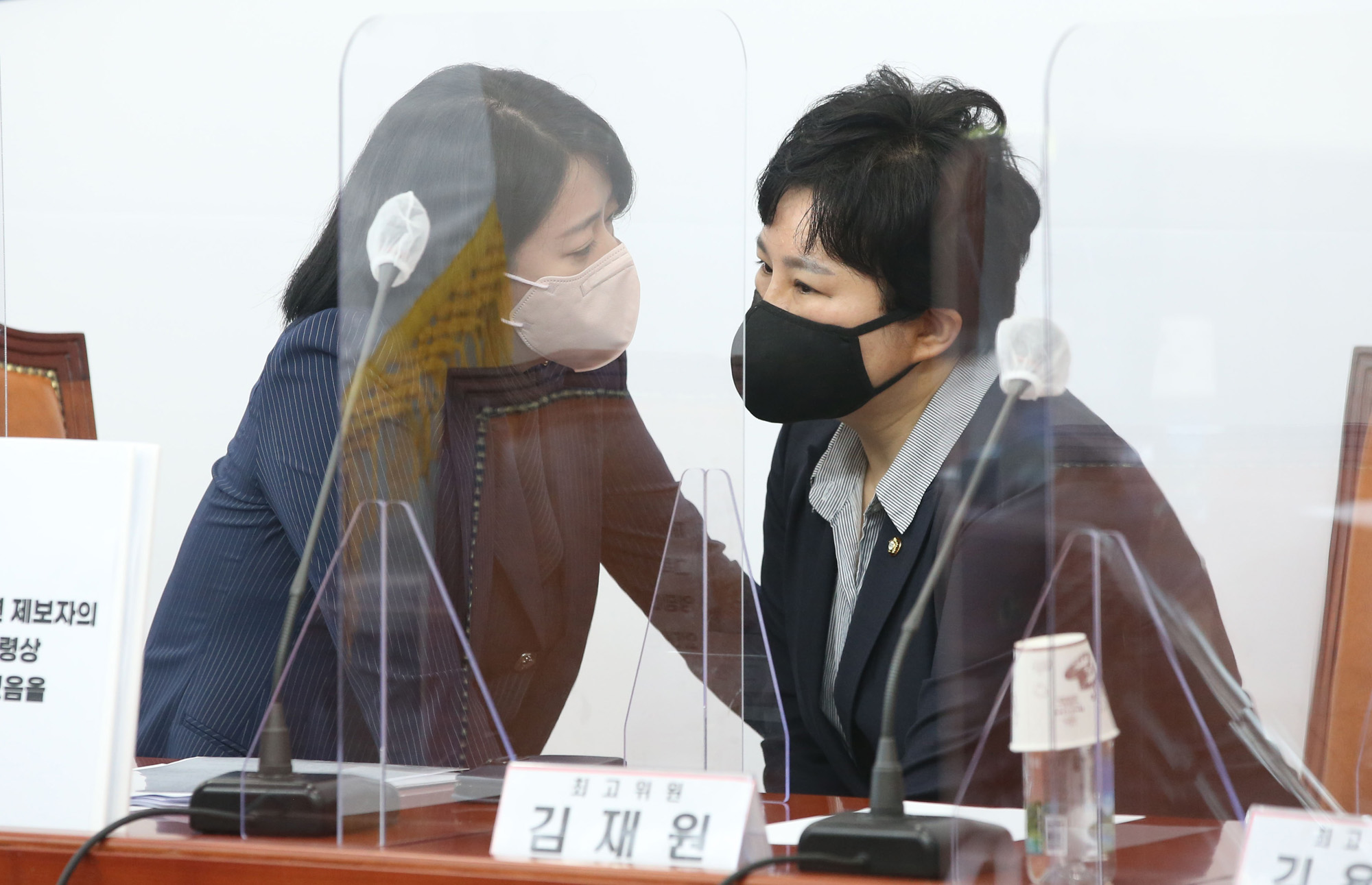 정치;정당;국민의힘;최고위원회의