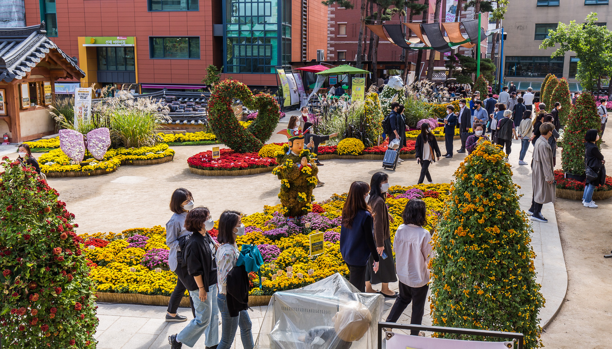 사회;세태;코로나19;신종코로나바이러스감염증;사회적거리두기;조계사;국화향기나눔전