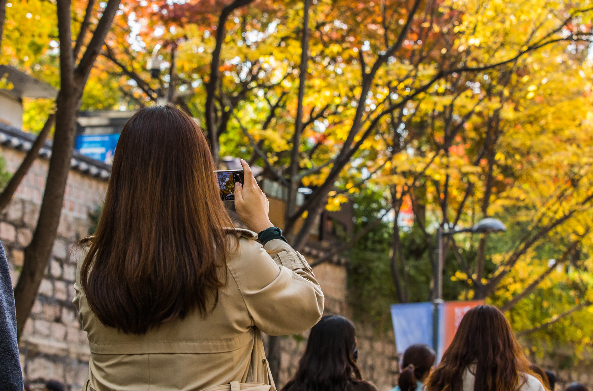 사회;세태;계절;가을;가을스케치;단풍스케치;덕수궁돌담길;단계적일상회복;위드코로나