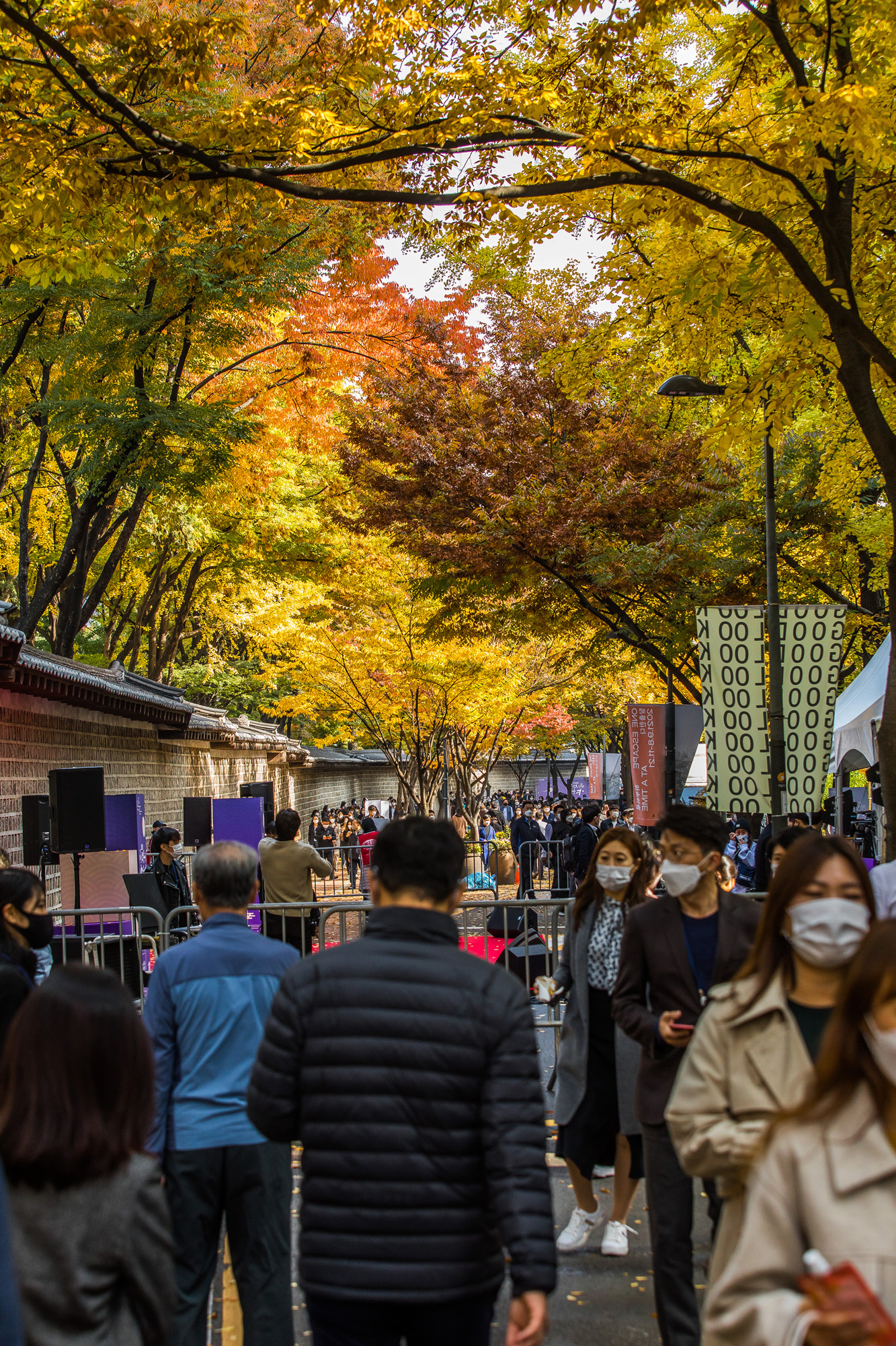 사회;세태;계절;가을;가을스케치;단풍스케치;덕수궁돌담길;단계적일상회복;위드코로나
