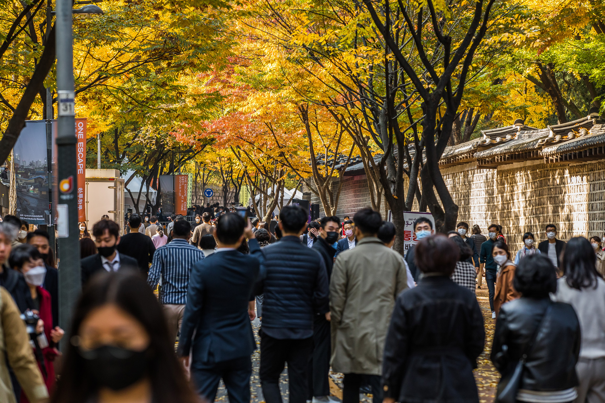 사회;세태;계절;가을;가을스케치;단풍스케치;덕수궁돌담길;단계적일상회복;위드코로나