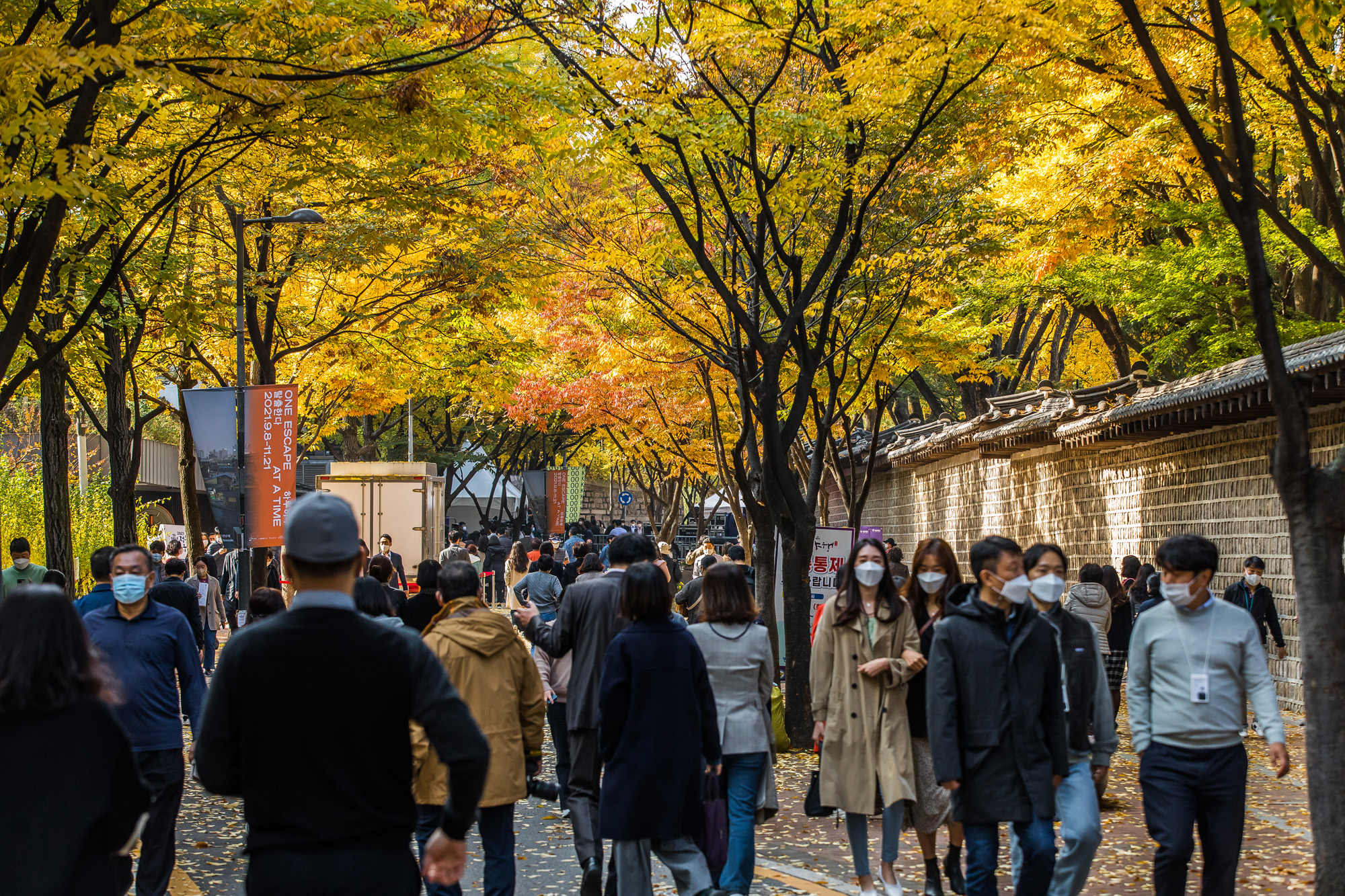 사회;세태;계절;가을;가을스케치;단풍스케치;덕수궁돌담길;단계적일상회복;위드코로나
