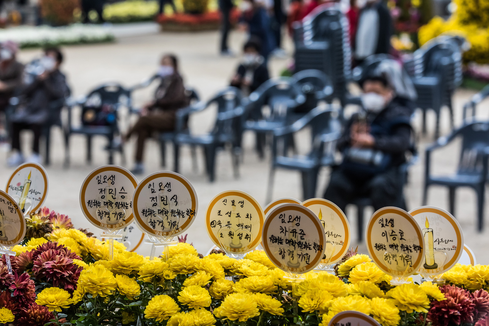 교육;사회;세태;대학수학능력시험;수능;2022년수능;수능기도;조계사