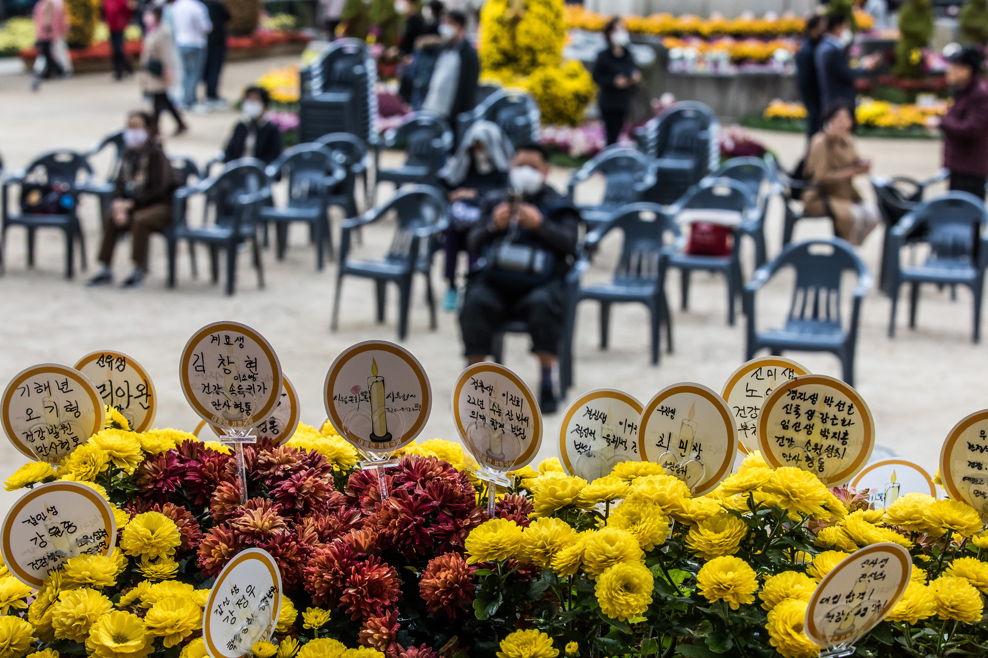 교육;사회;세태;대학수학능력시험;수능;2022년수능;수능기도;조계사
