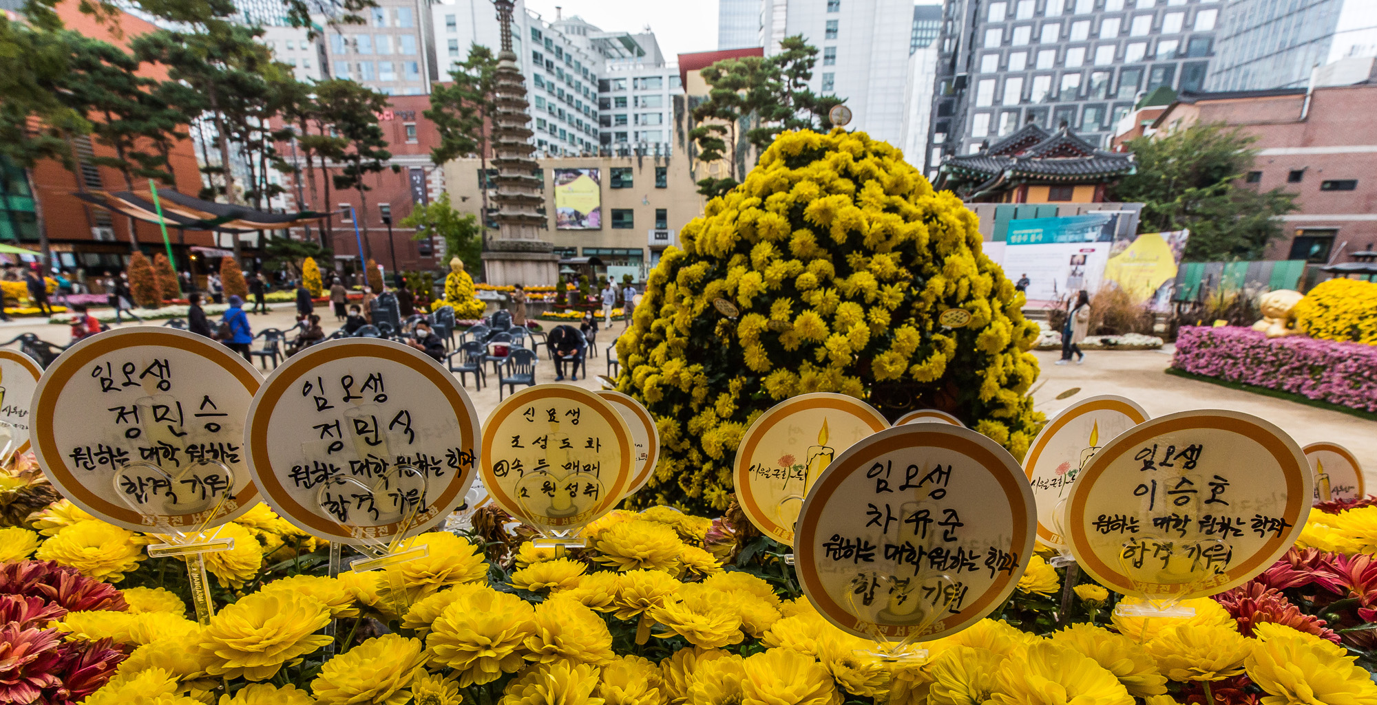 교육;사회;세태;대학수학능력시험;수능;2022년수능;수능기도;조계사