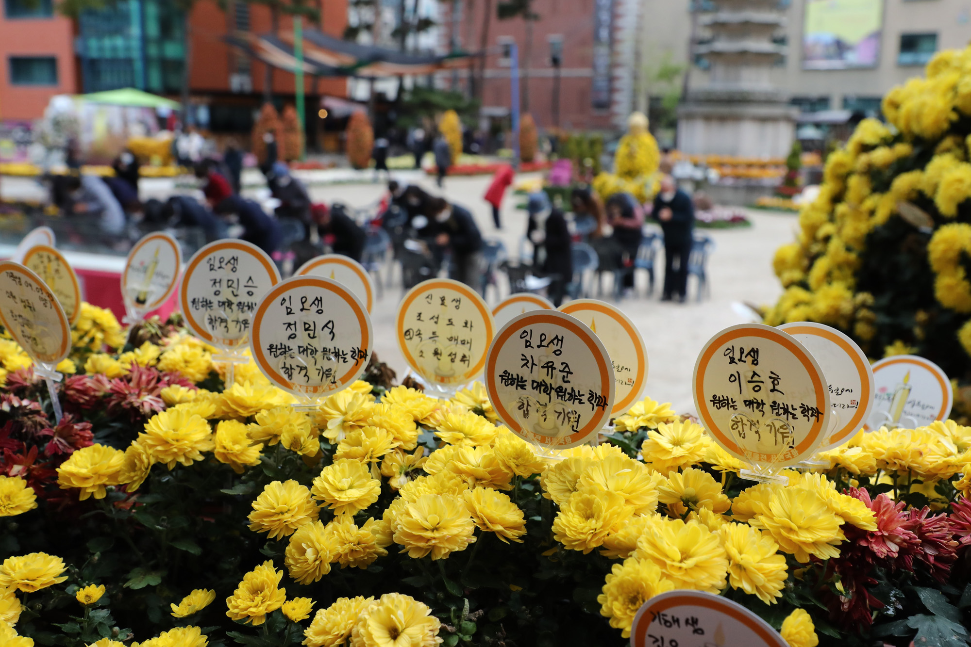 사회;조계사;수능기도;대학입시합격기원