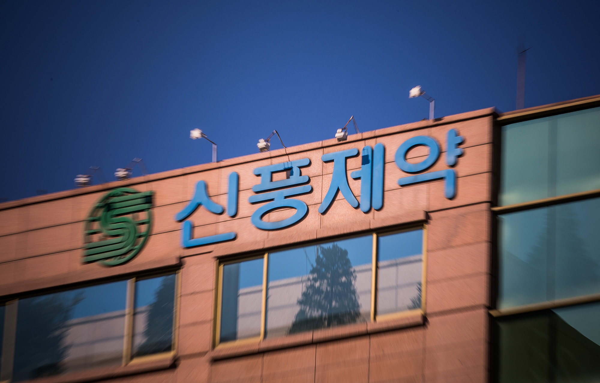 경제;기업;제약회사;신풍제약;불법제약회사;비자금조성