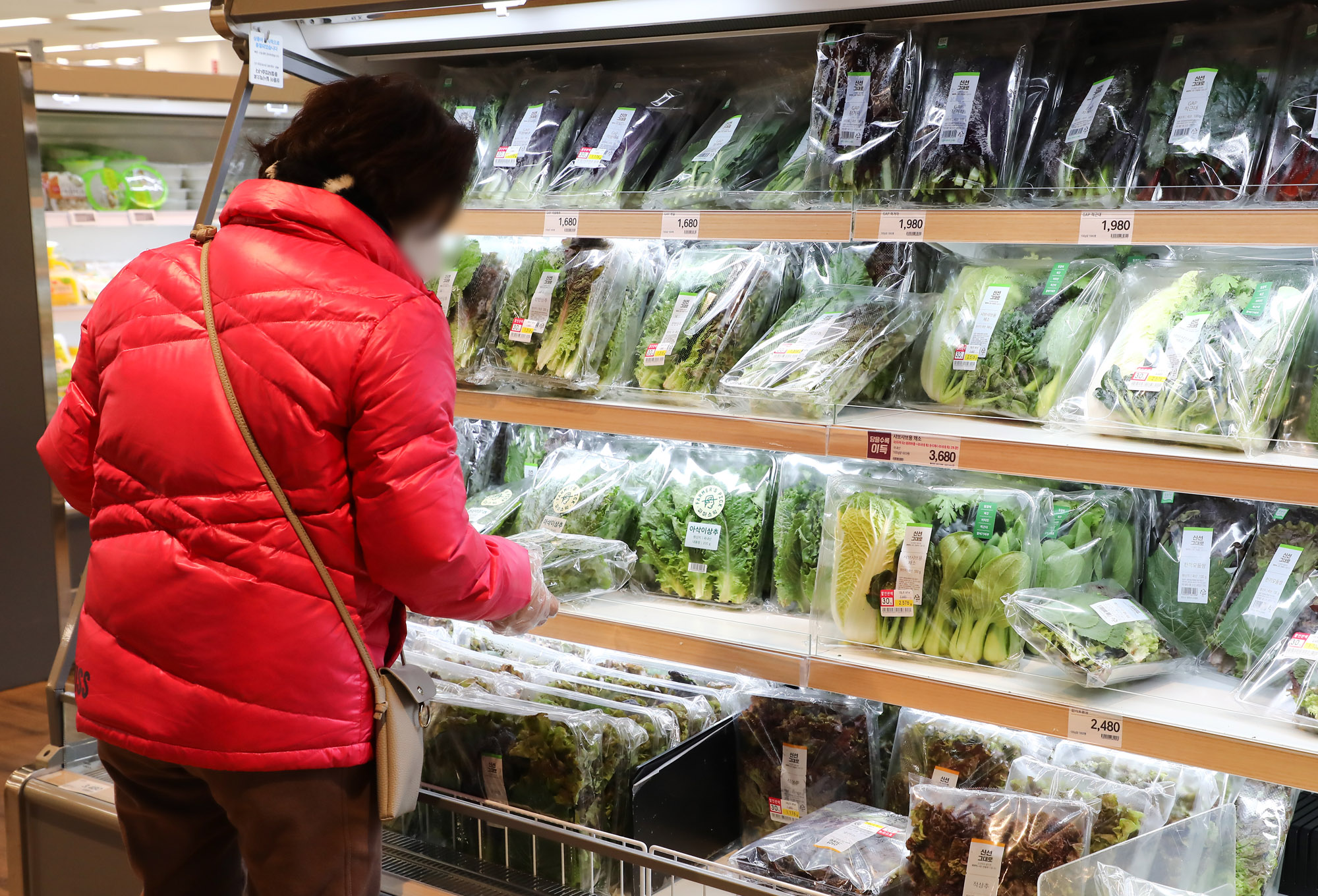 경제;마트물가;물가;소비자물가;마트;이마트;과일물가;채소물가