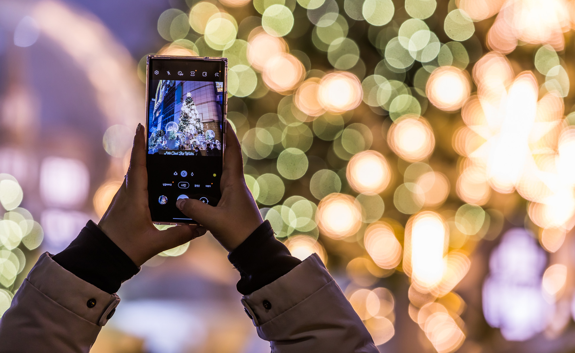 사회;세태;공휴일;성탄절;크리스마스이브;명동거리;신세계백화점;롯데백화점;루미나리에