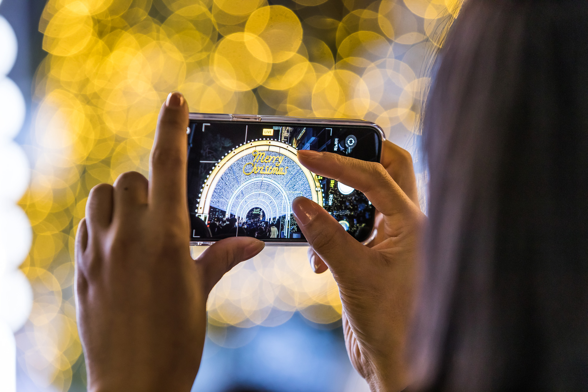 사회;세태;공휴일;성탄절;크리스마스이브;명동거리;신세계백화점;롯데백화점;루미나리에