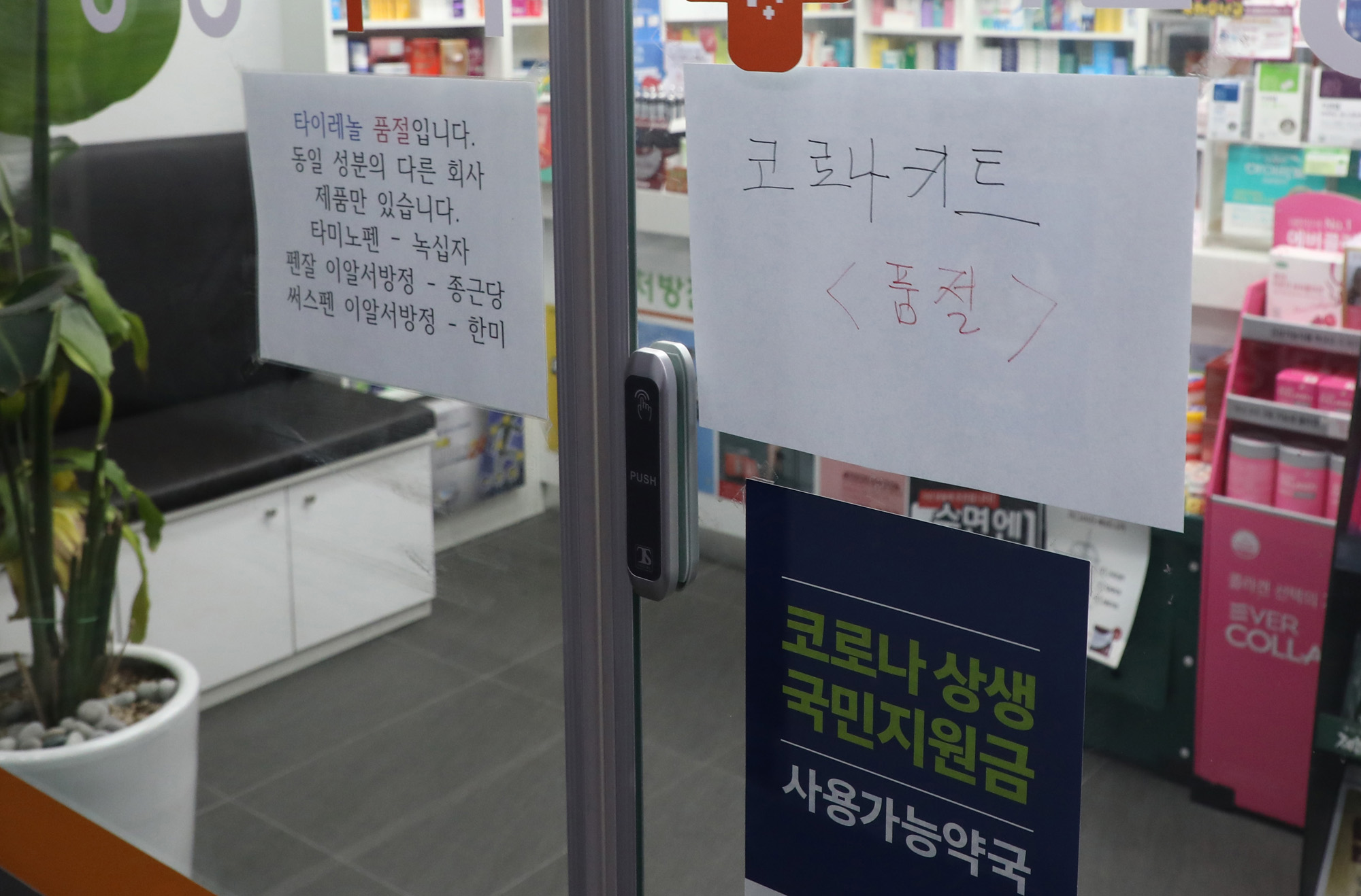 사회;의학;코로나자가진단키트;자가진단키트약국