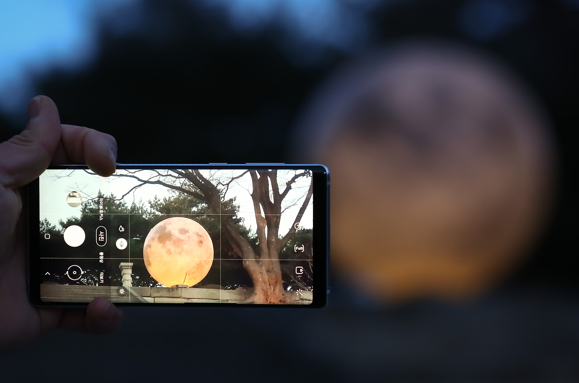 궁궐;보름달 창경궁 대보름