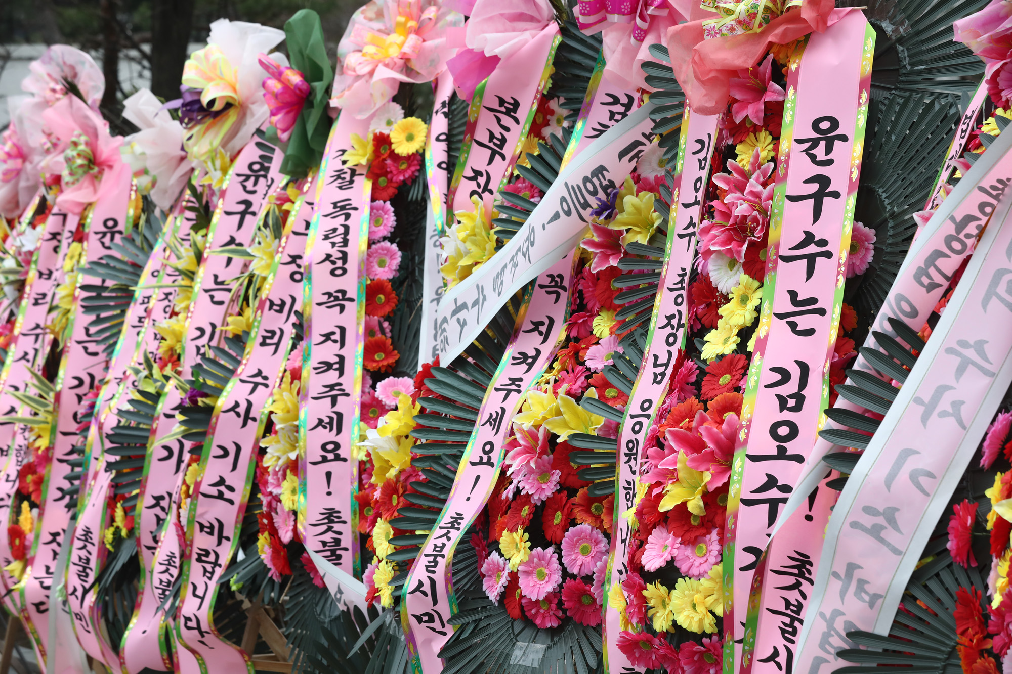 정치;김오수 검찰총장;대검찰청 화환;김오수화환;김오수응원