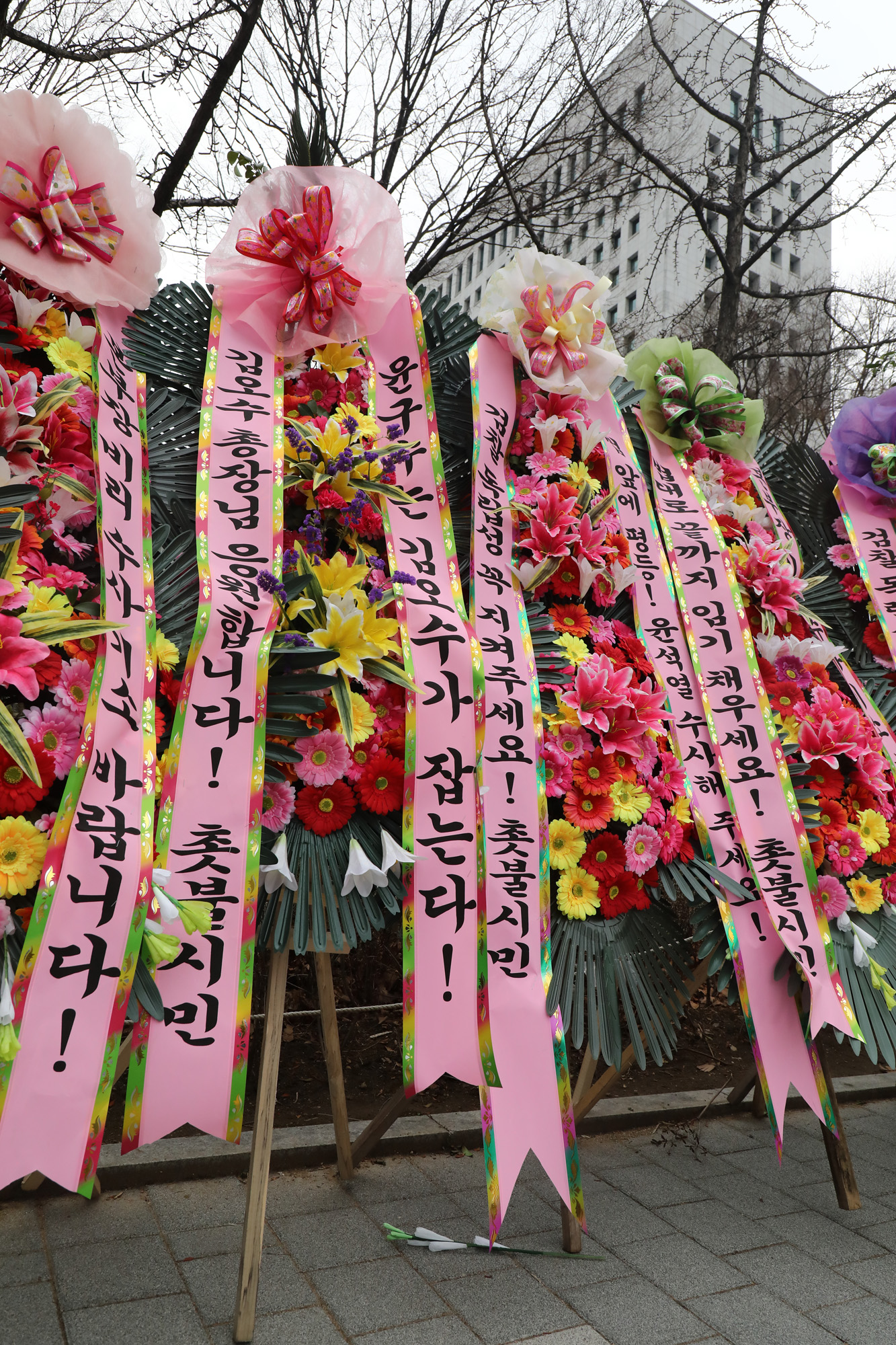 정치;김오수 검찰총장;대검찰청 화환;김오수화환;김오수응원