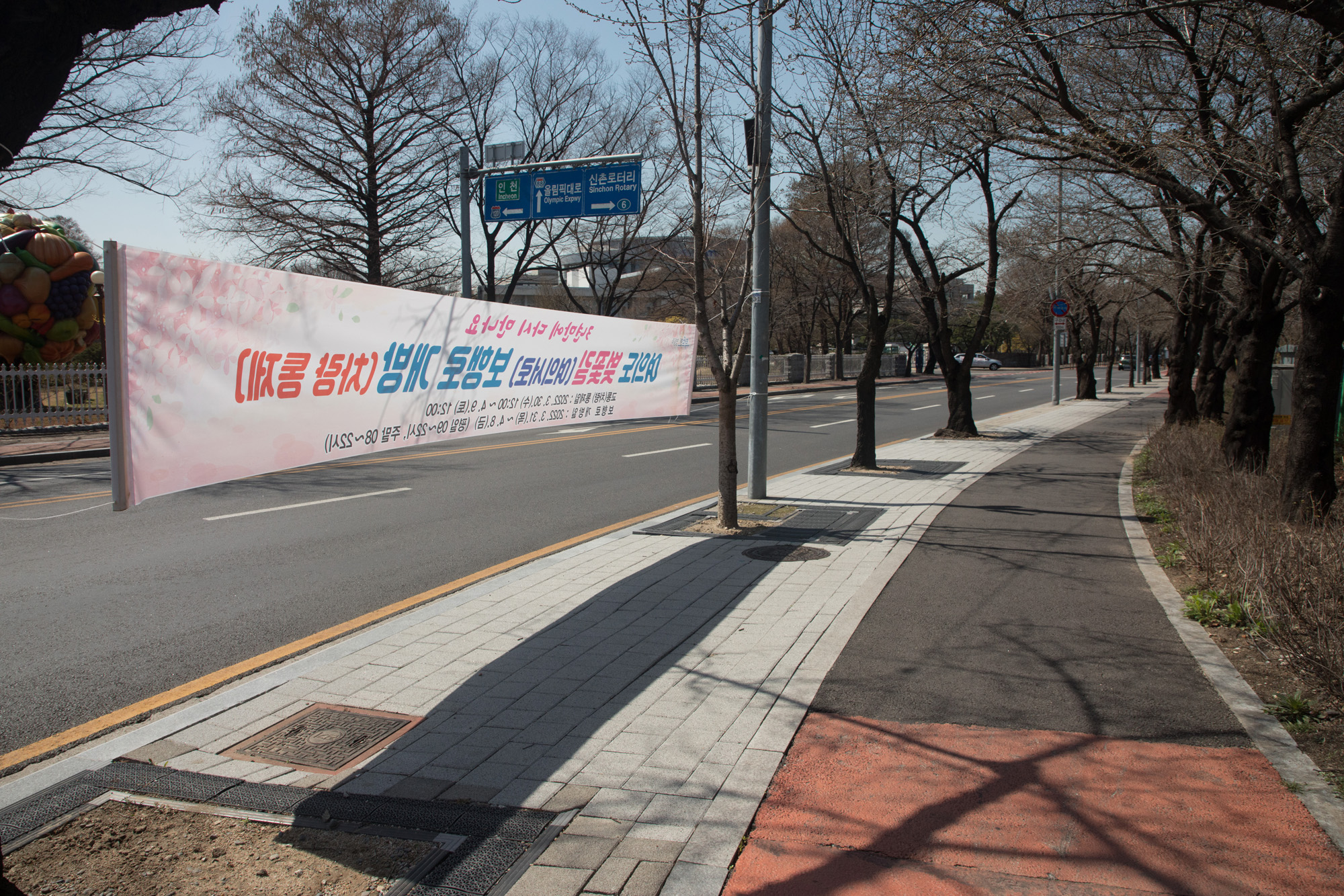 사회;세태;여의도;윤중로;벚꽃길
