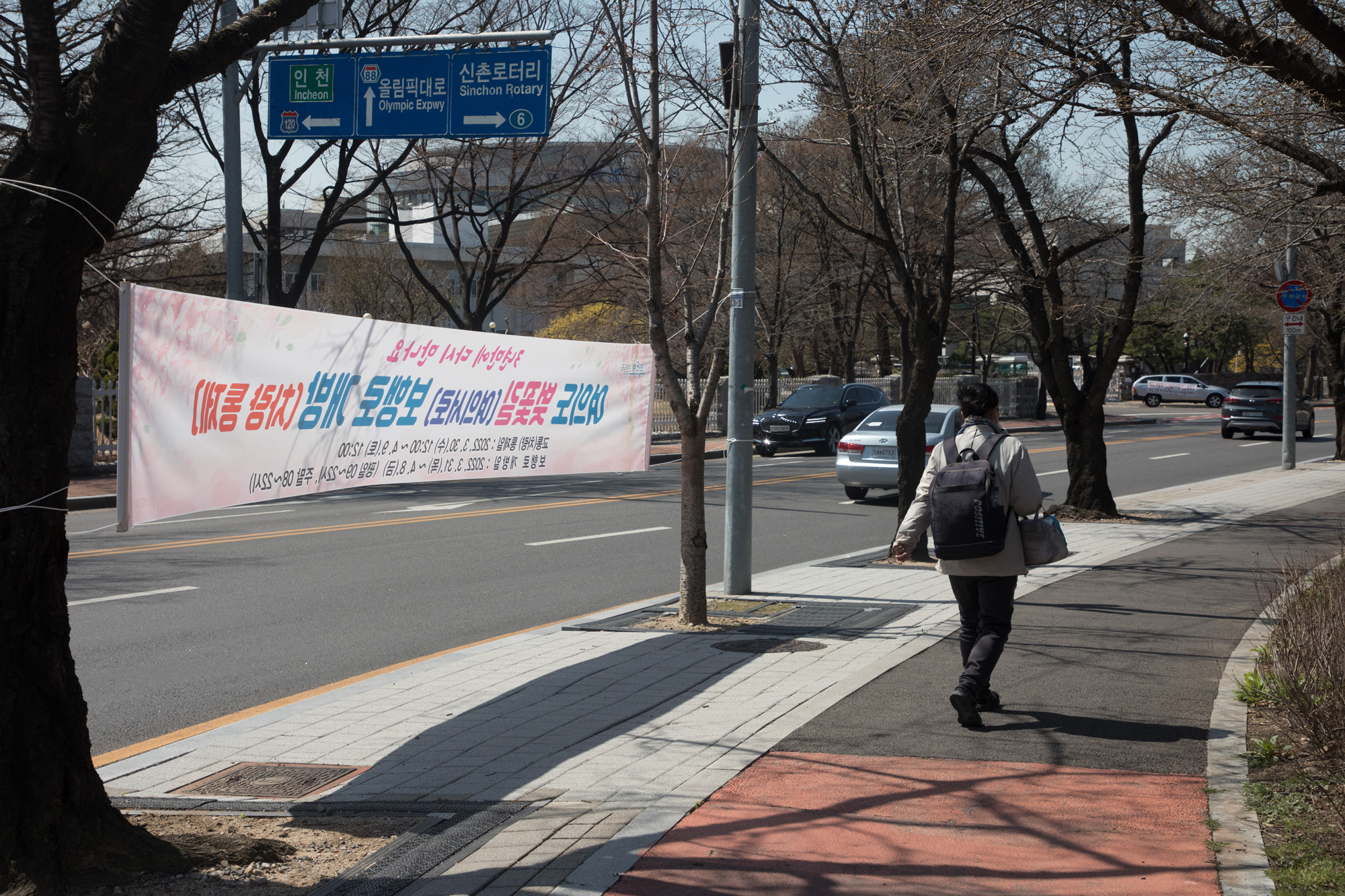 사회;세태;여의도;윤중로;벚꽃길