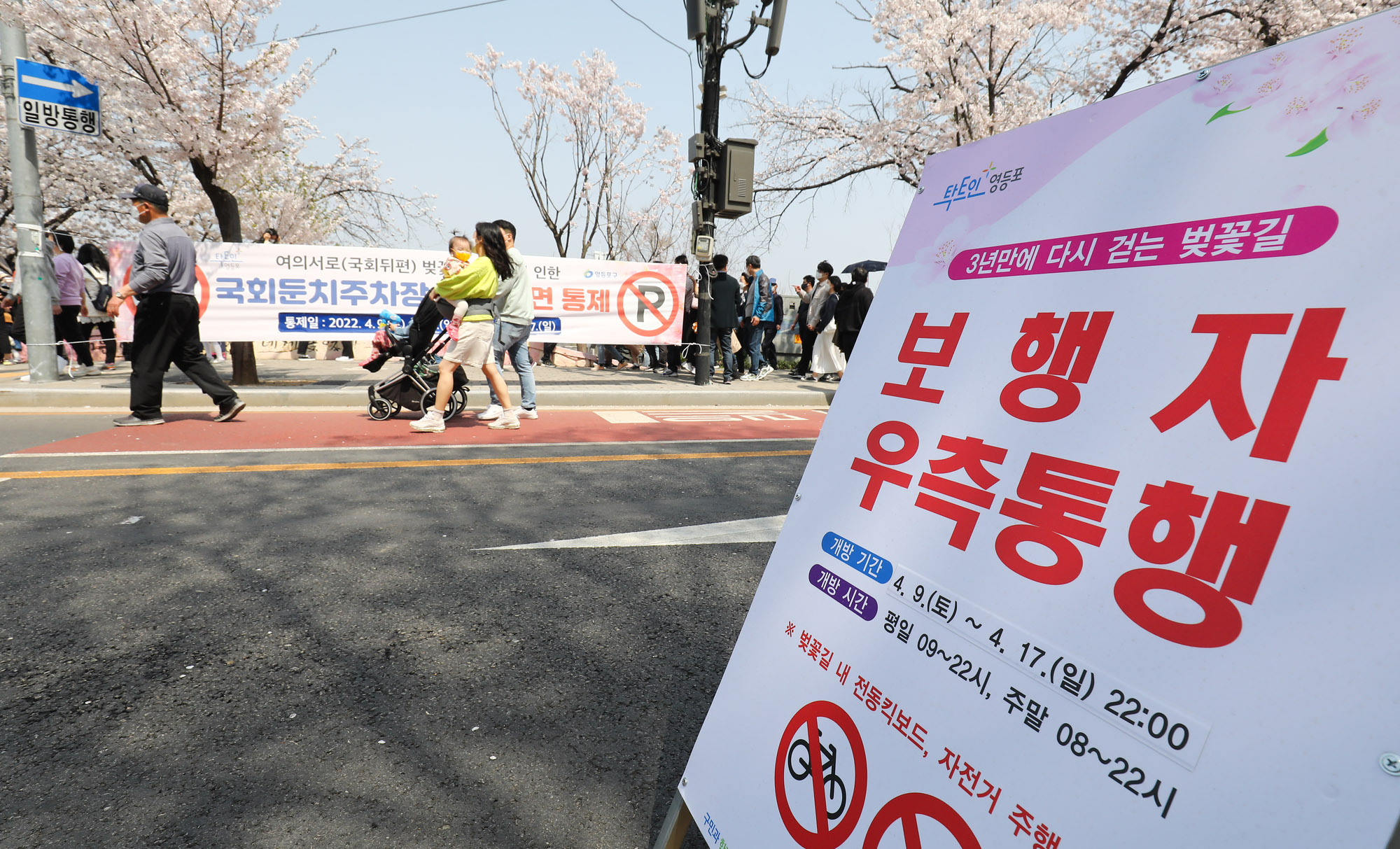 벚꽃;여의도벚꽃축제;코로나벚꽃;벗꽃;윤중로;여의도;코로나축제