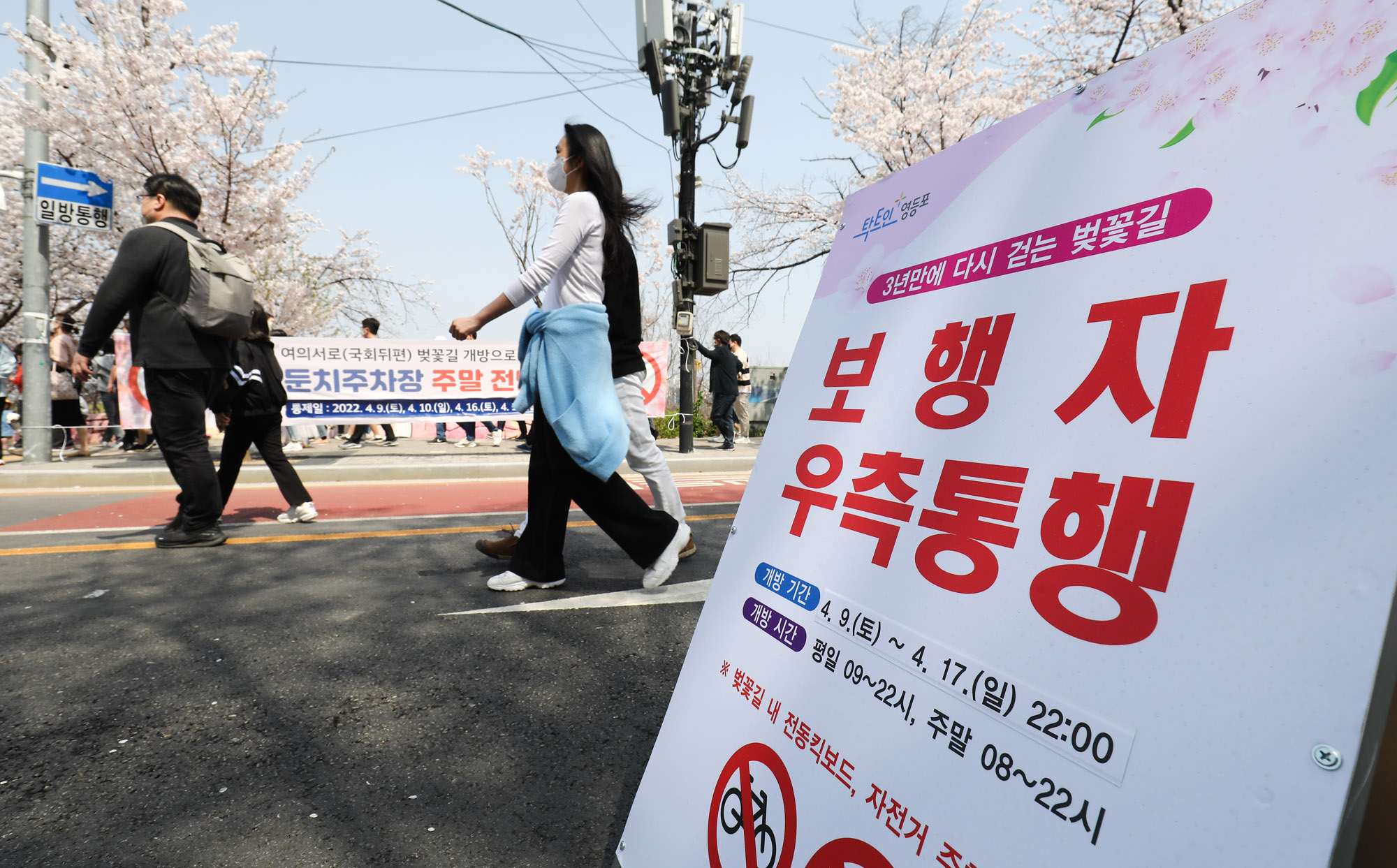 벚꽃;여의도벚꽃축제;코로나벚꽃;벗꽃;윤중로;여의도;코로나축제