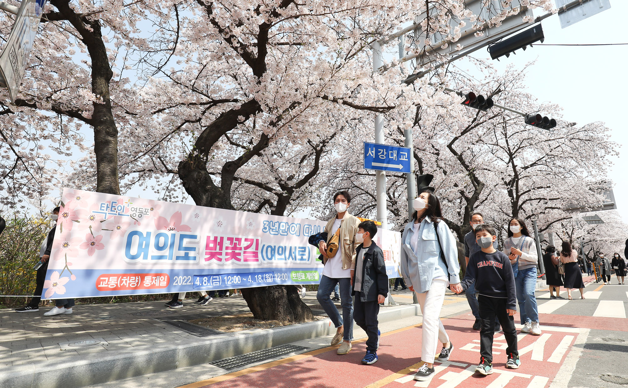 벚꽃;여의도벚꽃축제;코로나벚꽃;벗꽃;윤중로;여의도;코로나축제