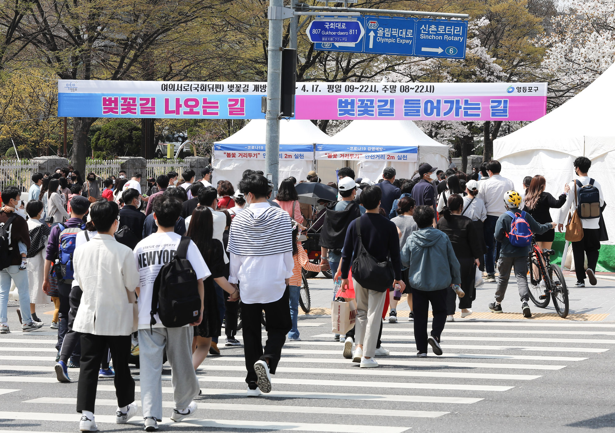 벚꽃;여의도벚꽃축제;코로나벚꽃;벗꽃;윤중로;여의도;코로나축제