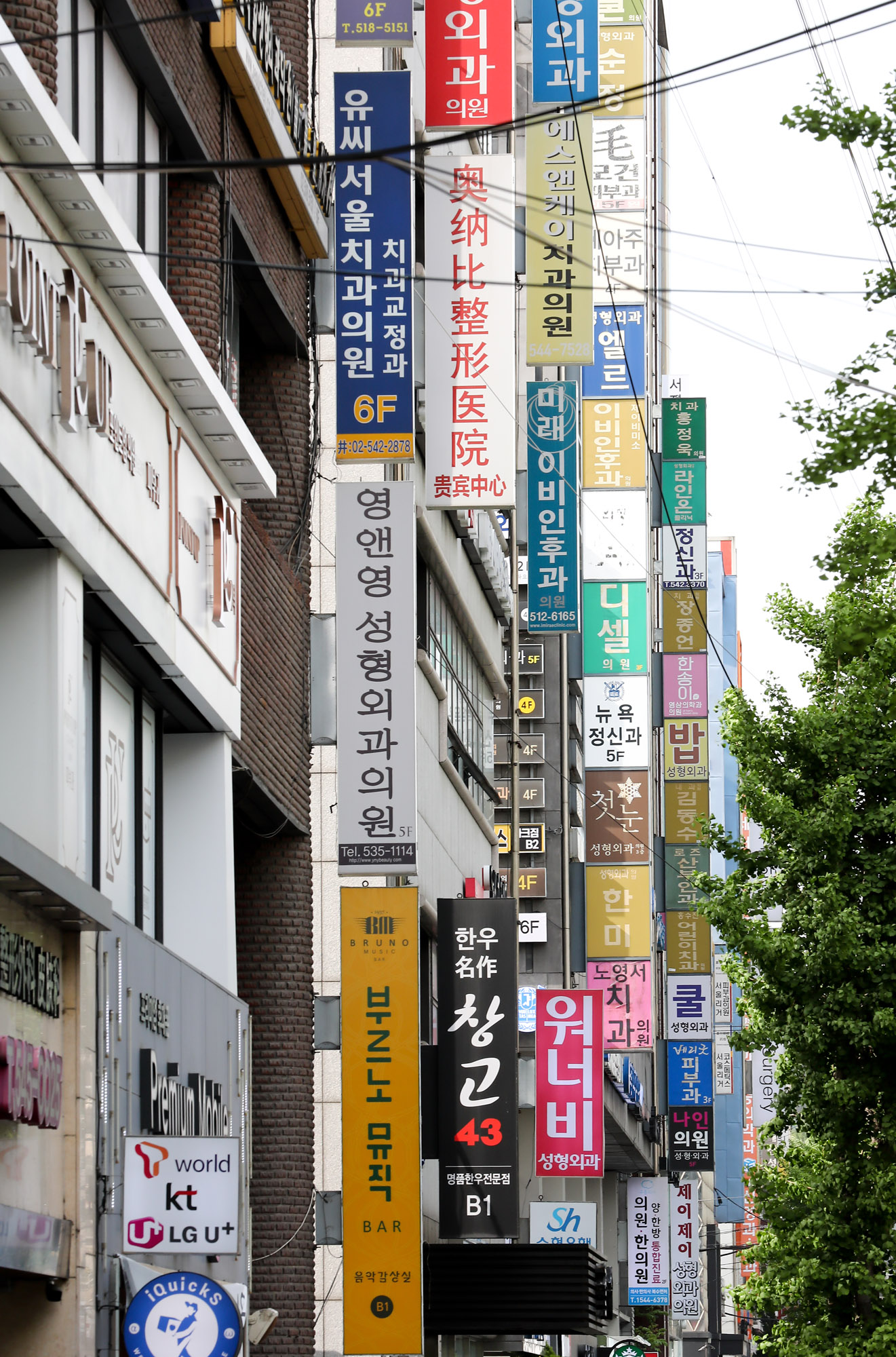 병원;성형외과;피부과