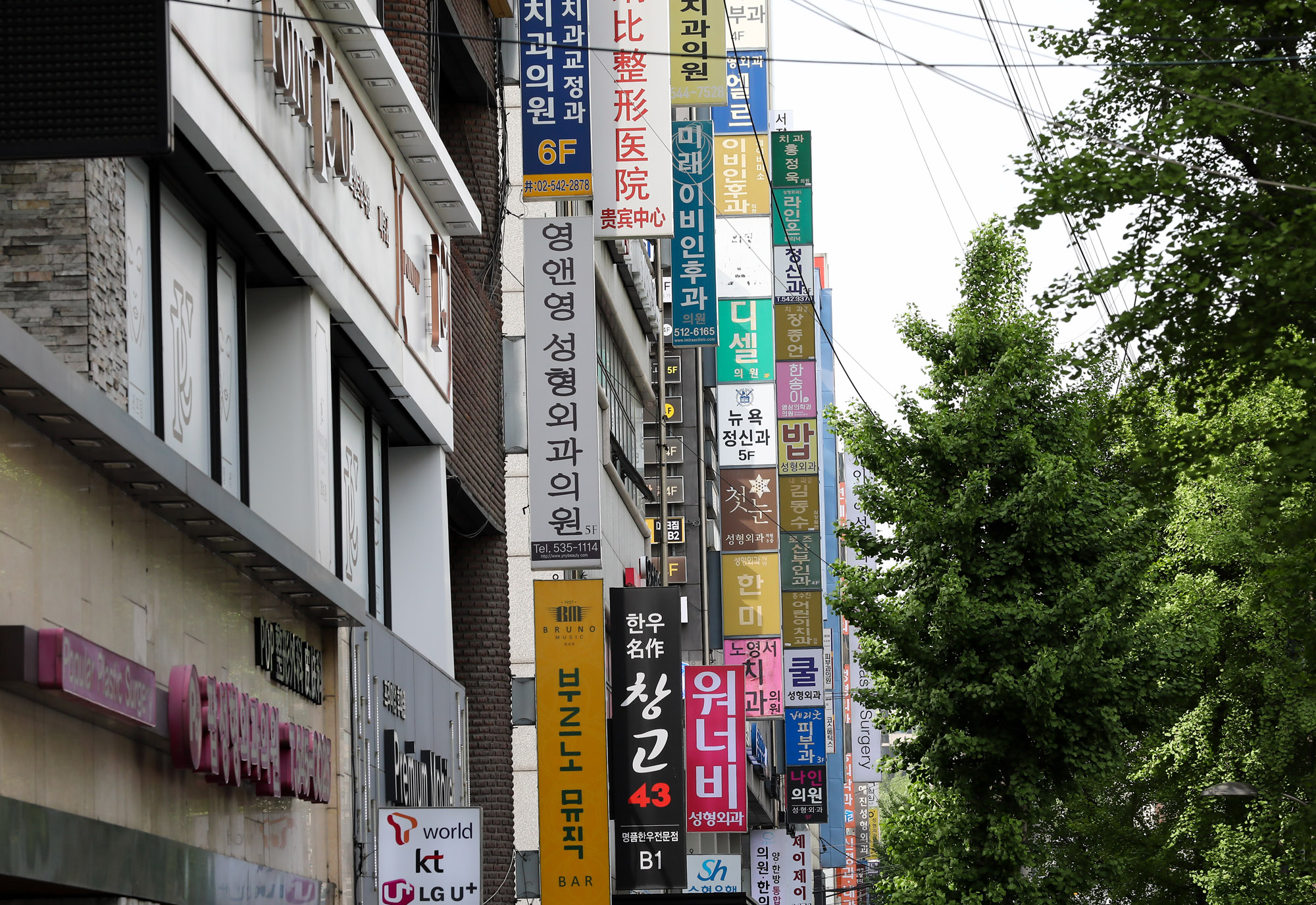 병원;성형외과;피부과