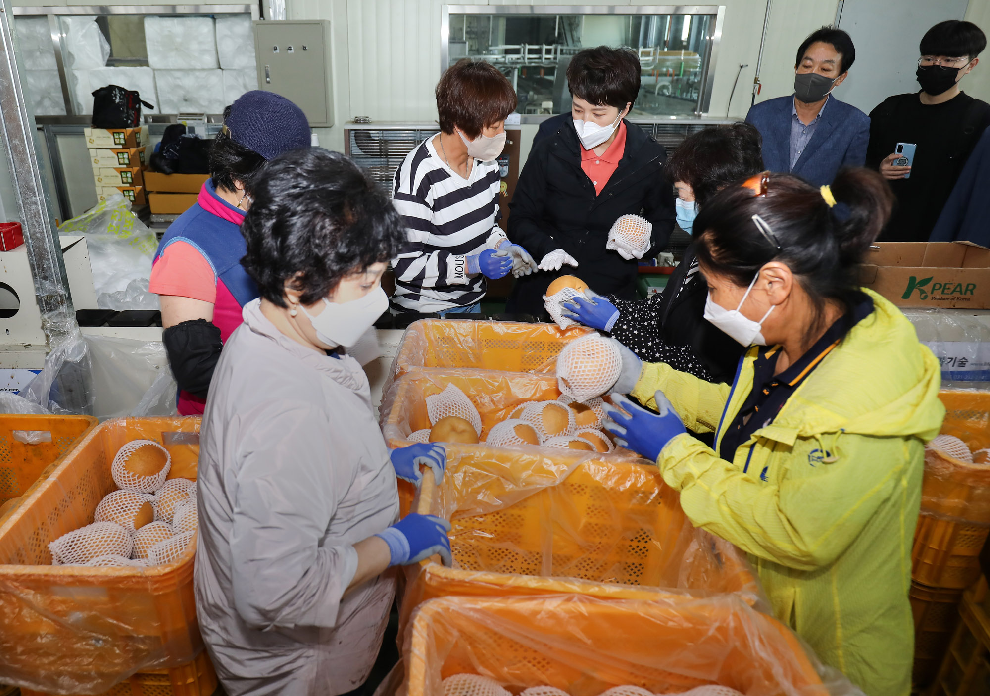 김은혜;평택;김은혜농협;김은혜원예협동조합;경기도지사후보