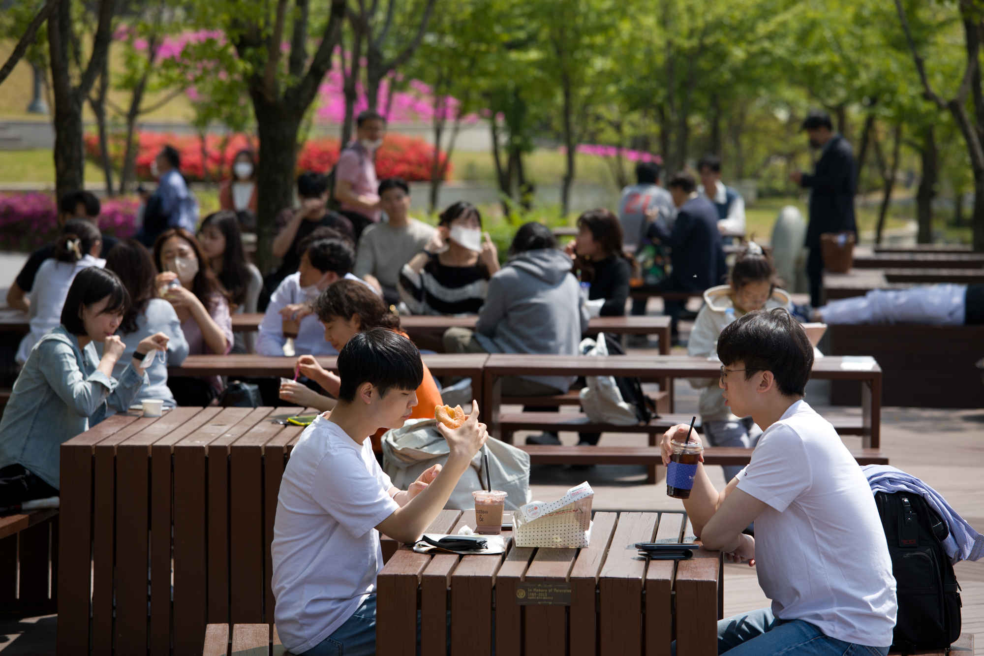 사회;세태;코로나19;마스크;대학교;연세대;교정;대학생