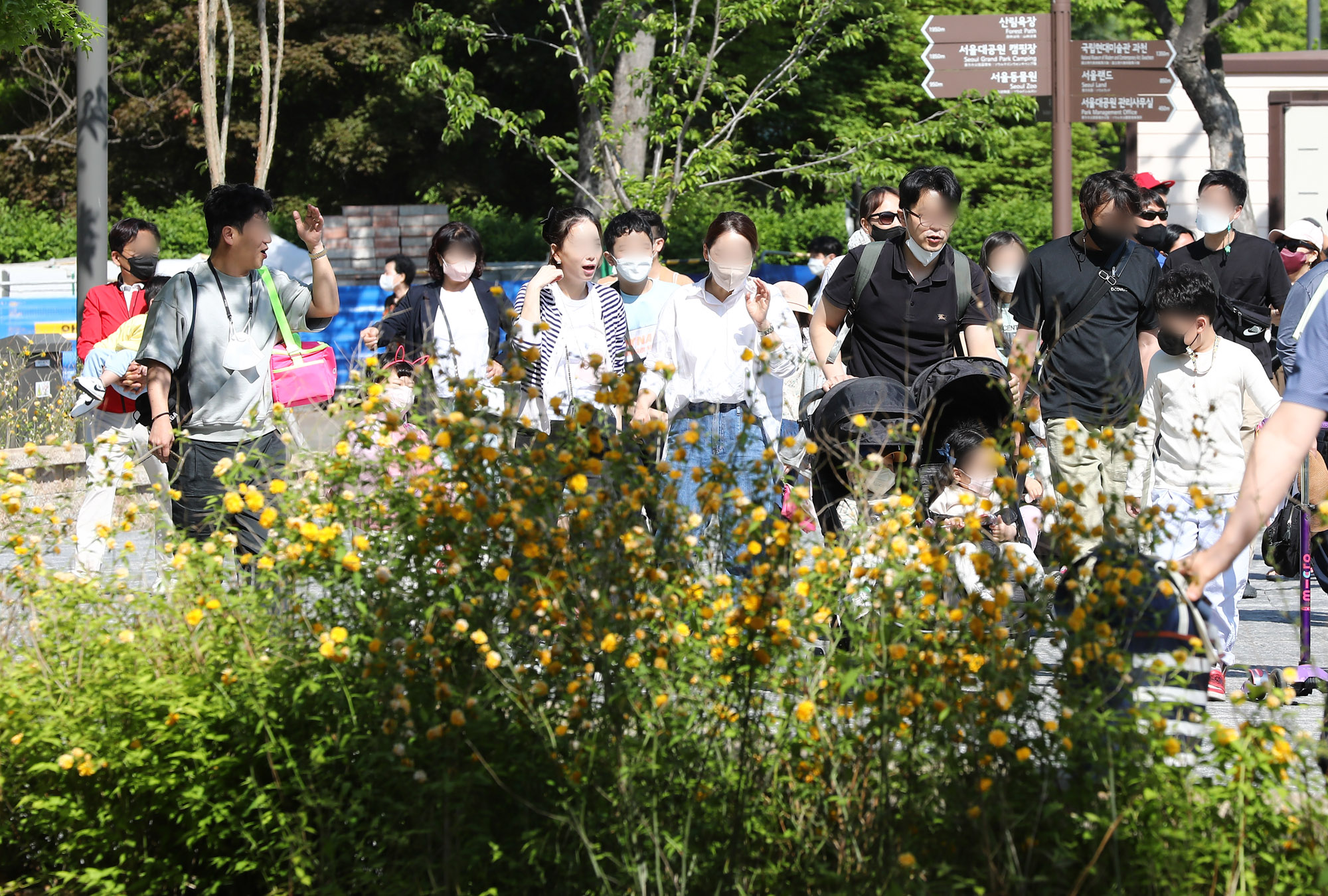어린이날;서울대공원