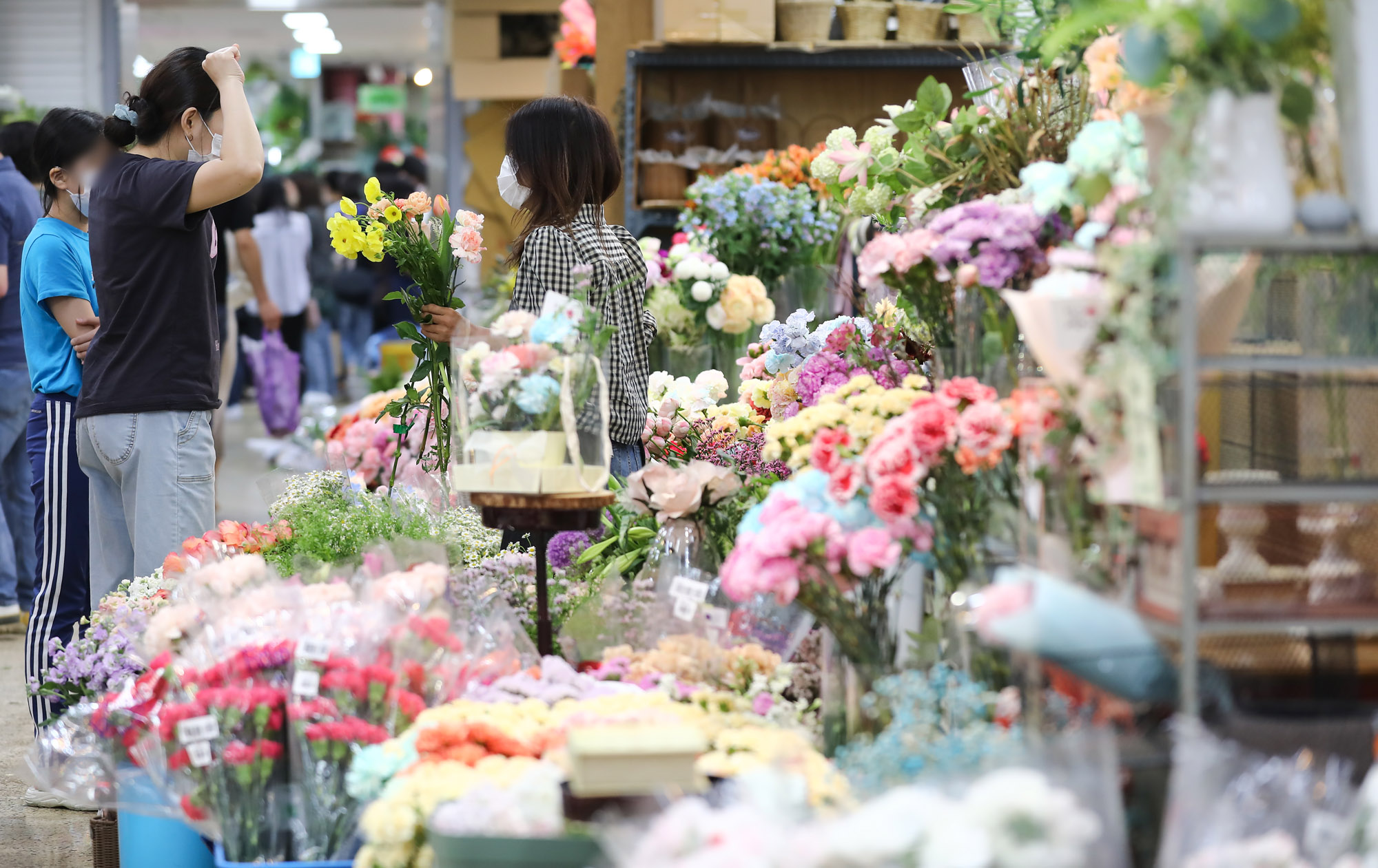 카네이션;어버이날;양재꽃시장