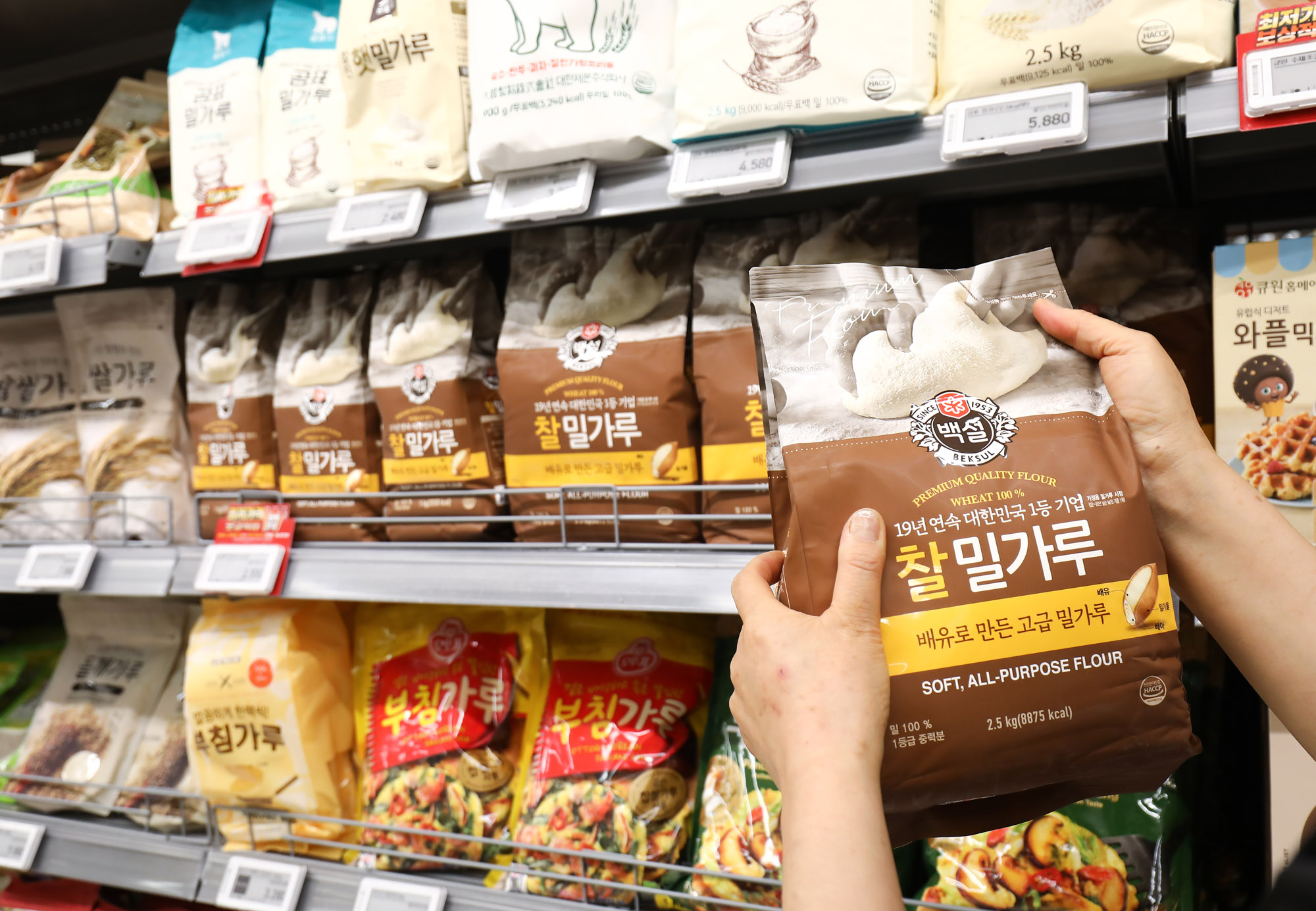 경제;소비자물가;밀가루;밀가루가격;마트밀가루