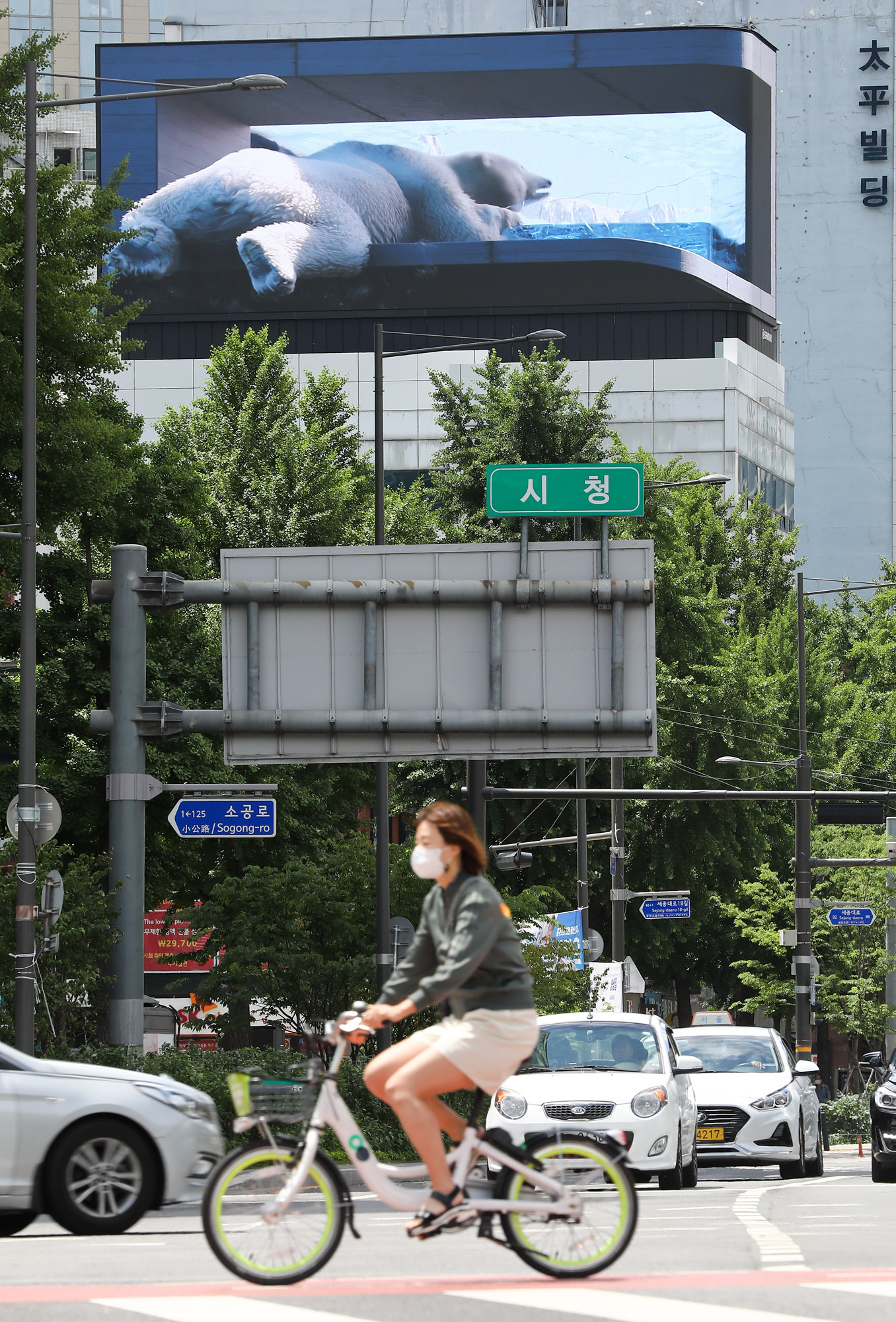 기후위기;환경;북극곰;북극곰미지어아트