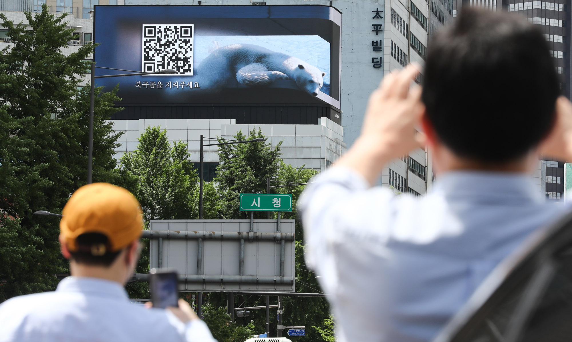 기후위기;환경;북극곰;북극곰미지어아트