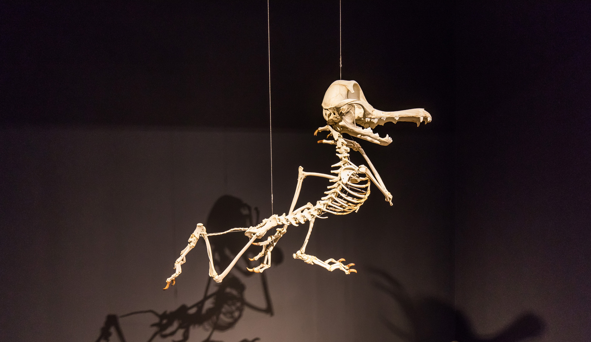 리움;리움미술관;삼성문화재단;삼성미술관;삼성박물관;삼성그룹;리움갤러리