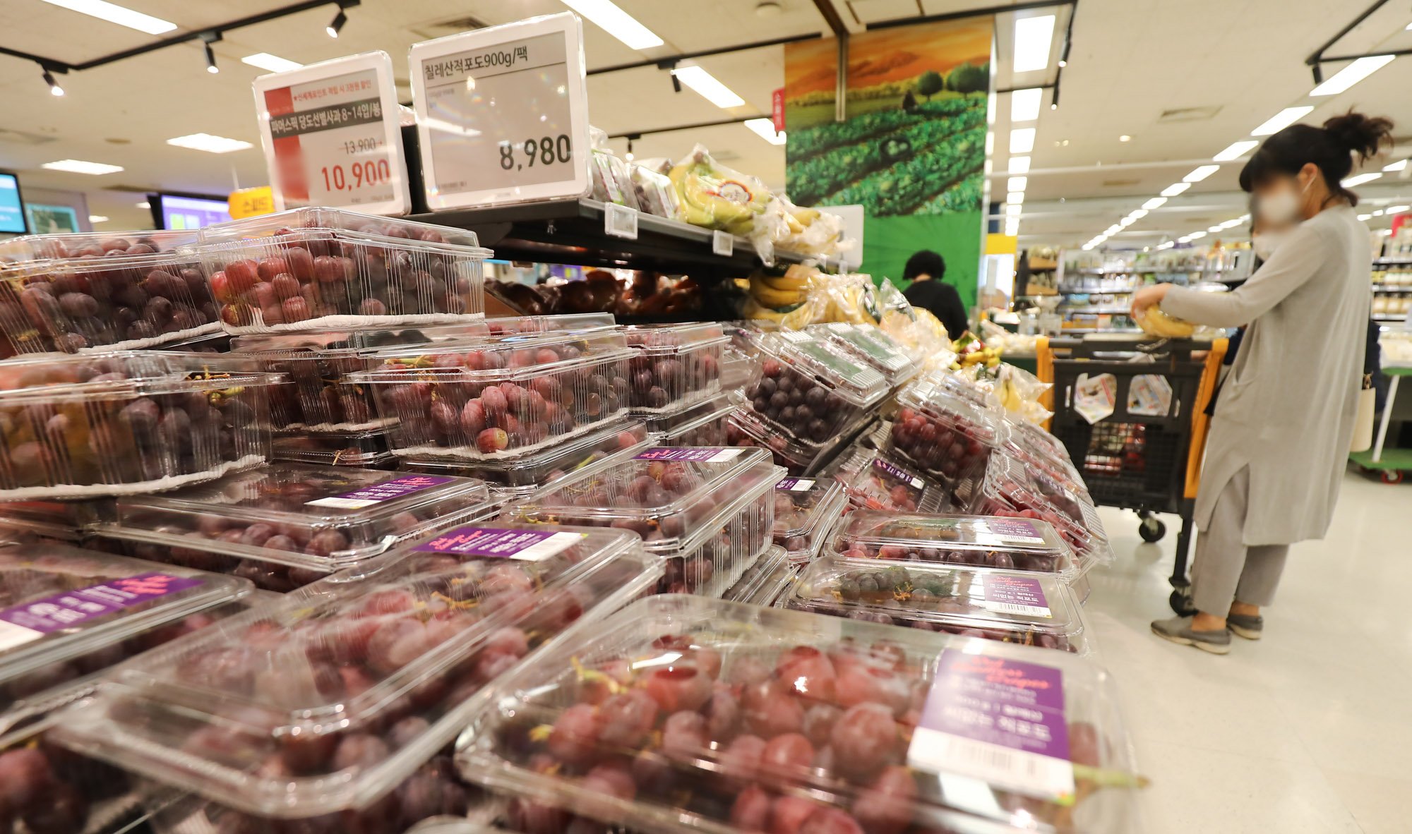 물가;스태그플레이션;인플레이션;물가상승;마트물가;경제