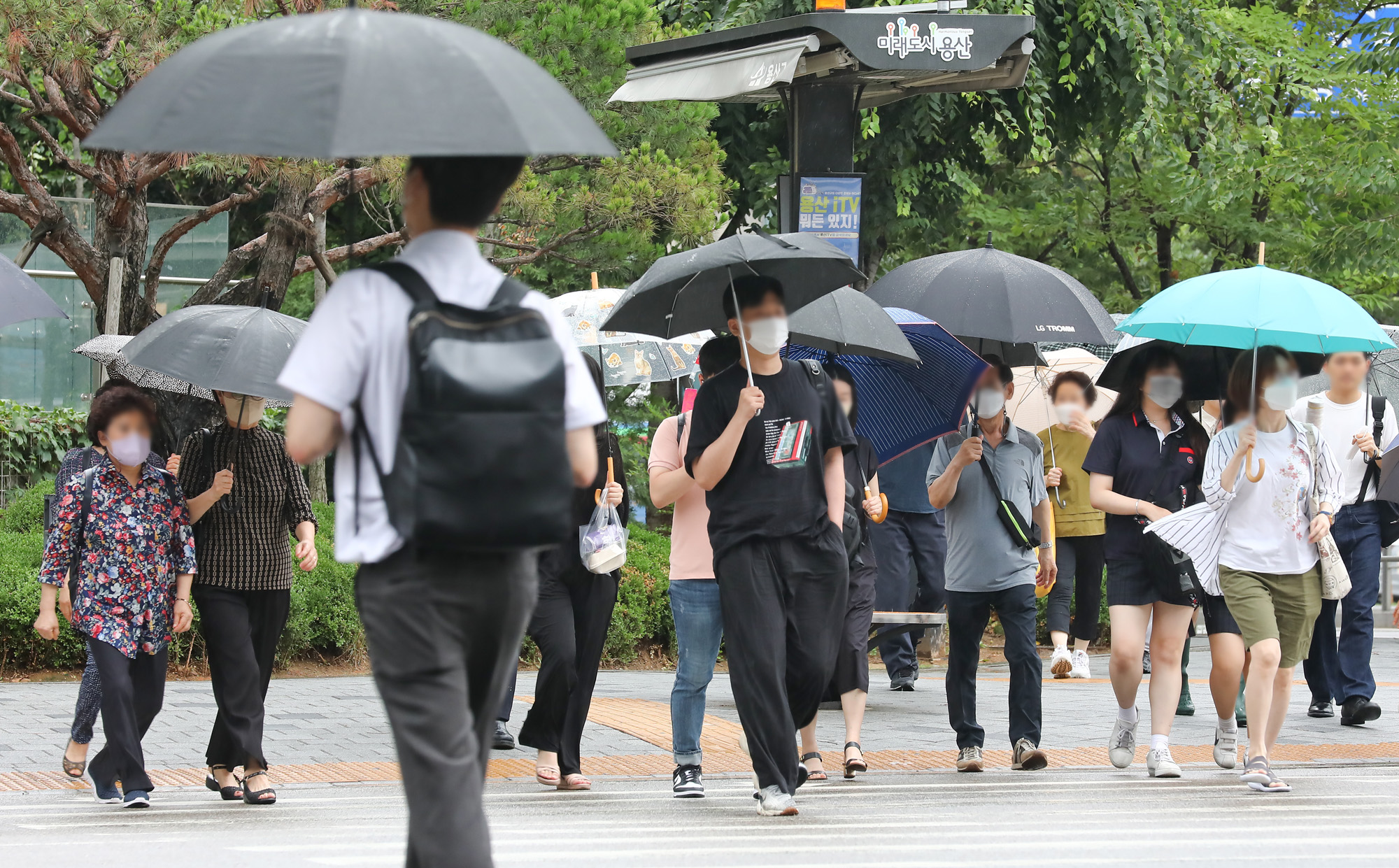 장마;소나기;장맛비;비;레인;날씨